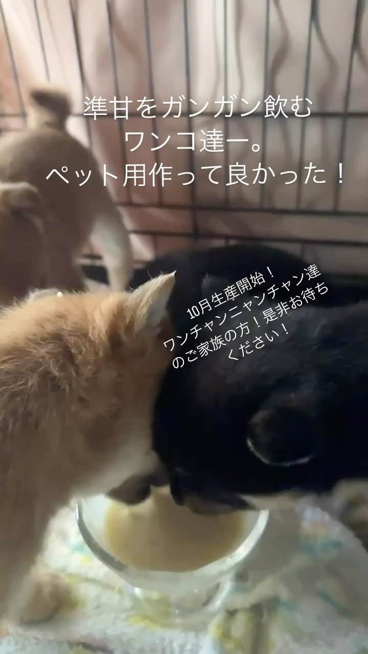 河本準一のインスタグラム