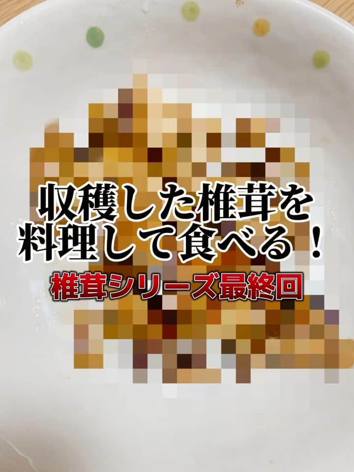 鈴木りんだのインスタグラム：「椎茸最終回。ついに実食です。#椎茸栽培 #嫌いな物を克服しよう計画 #料理 #２児ママ」