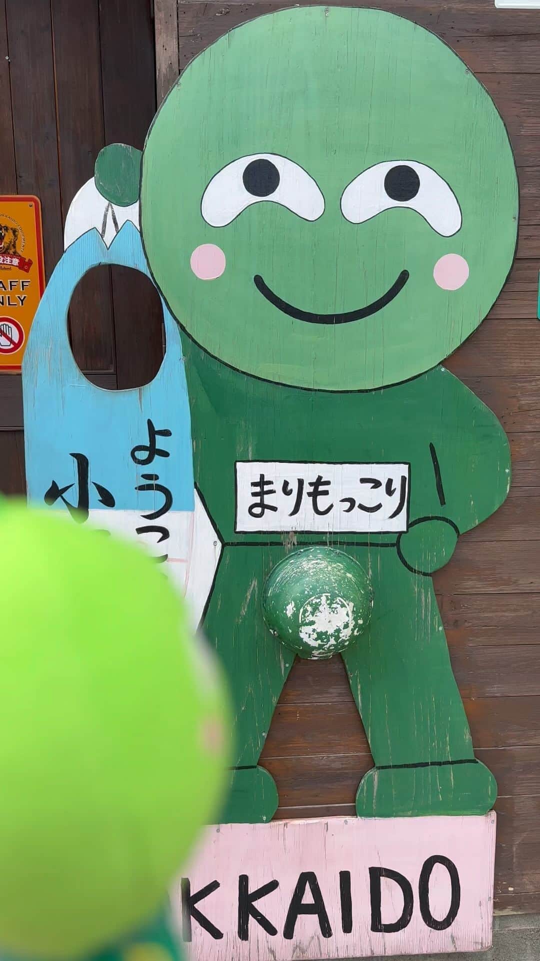 まりもっこりのインスタグラム：「一段とハゲてるし😅 #まりもっこり」