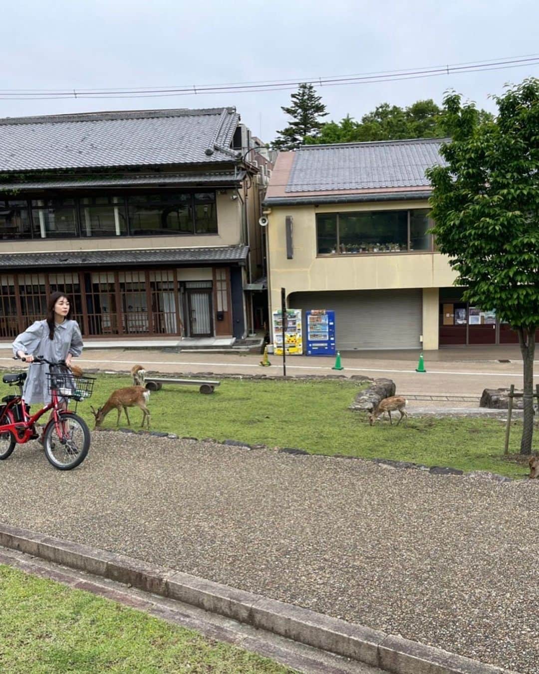 中西香菜さんのインスタグラム写真 - (中西香菜Instagram)「結構まえですが…奈良へ遊びに行った時のの思い出写真🦌  大阪に住んでいた頃、奈良京都にはちょこちょこ遊びに行っていましたがいつ行っても感動する場所です🥺  実は、中学校は東京に転校したので修学旅行が奈良京都だったんです！！実家帰省みたいな気持ちでとっても安心感がありました😌✨👍 思い出たくさんの場所だ！  また鹿に会いに行かないと🦌🦌🦌」9月17日 11時40分 - nakanishi_kana_