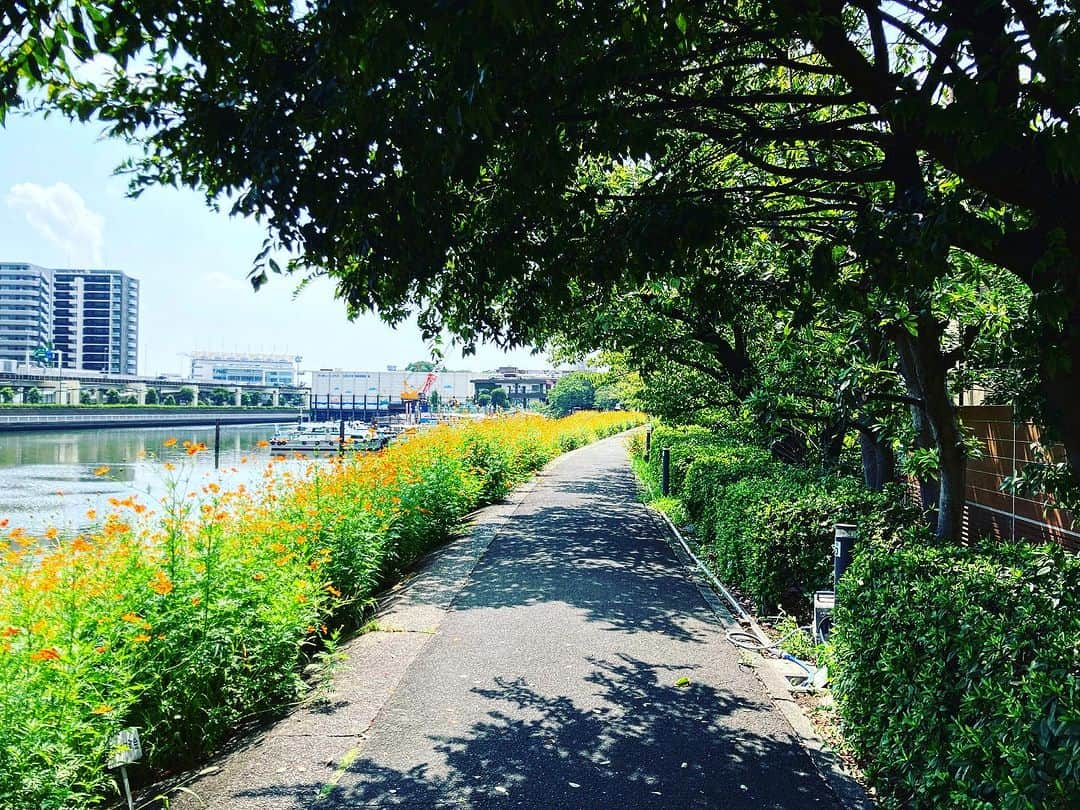 宇田川大輔さんのインスタグラム写真 - (宇田川大輔Instagram)「本日の朝ラン #朝ラン #running #城南エリア」9月17日 11時52分 - udagawadaisuke