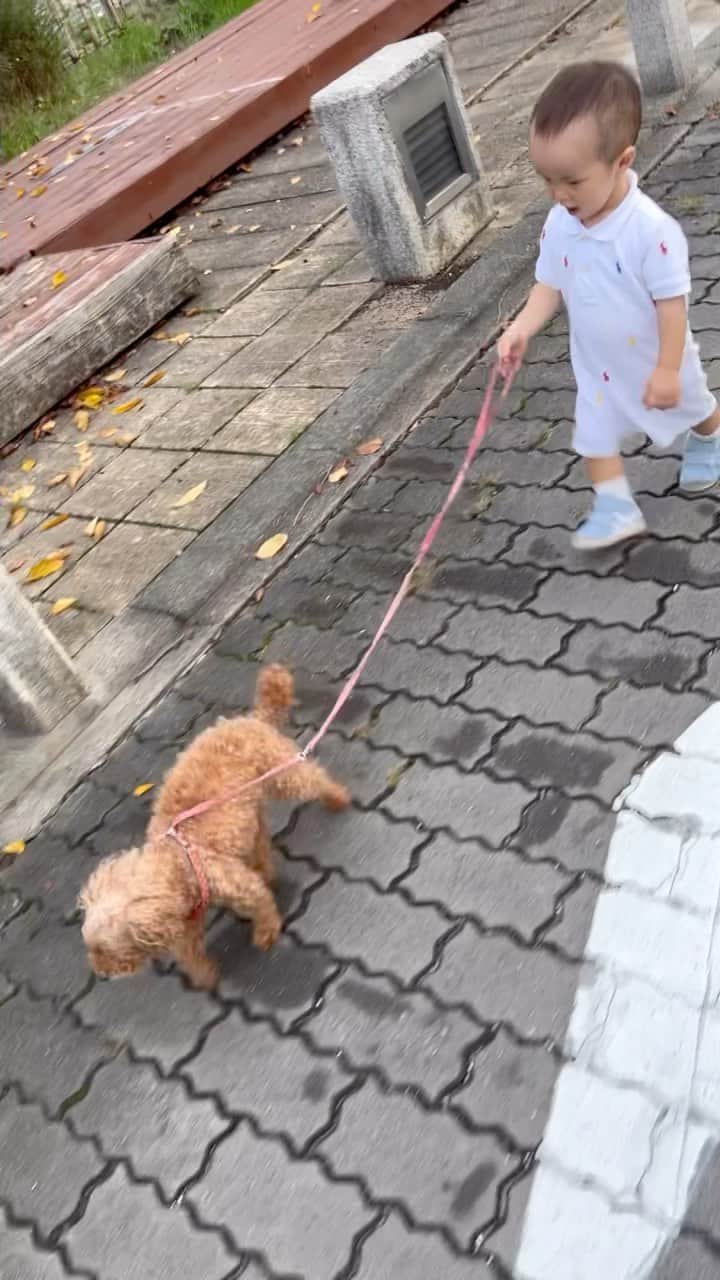 犬童美乃梨のインスタグラム