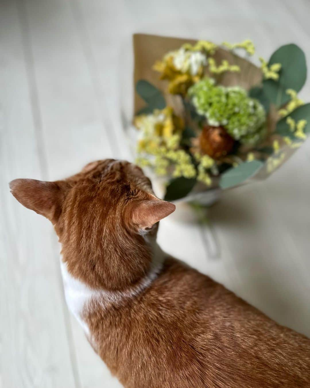 唐津裕美さんのインスタグラム写真 - (唐津裕美Instagram)「たまぞうチェックを受ける今回の花束は乙女座💓の父の誕生日に。  8〜9枚目 Instagram初登場‼️の父と母。 なんでかスヌーピーのTシャツがかわゆい83歳🤎 いつまでも元気でな！！  #初登場ひりんこのパパとママ😆 #どこで買うたんスヌーピーTシャツ🤣 #可愛すぎるやろ #そうです私は父親似 #かまぼこ目 #チェリー #錯乱坊 #trucknest」9月17日 22時05分 - h_i_r_i_n_k_o