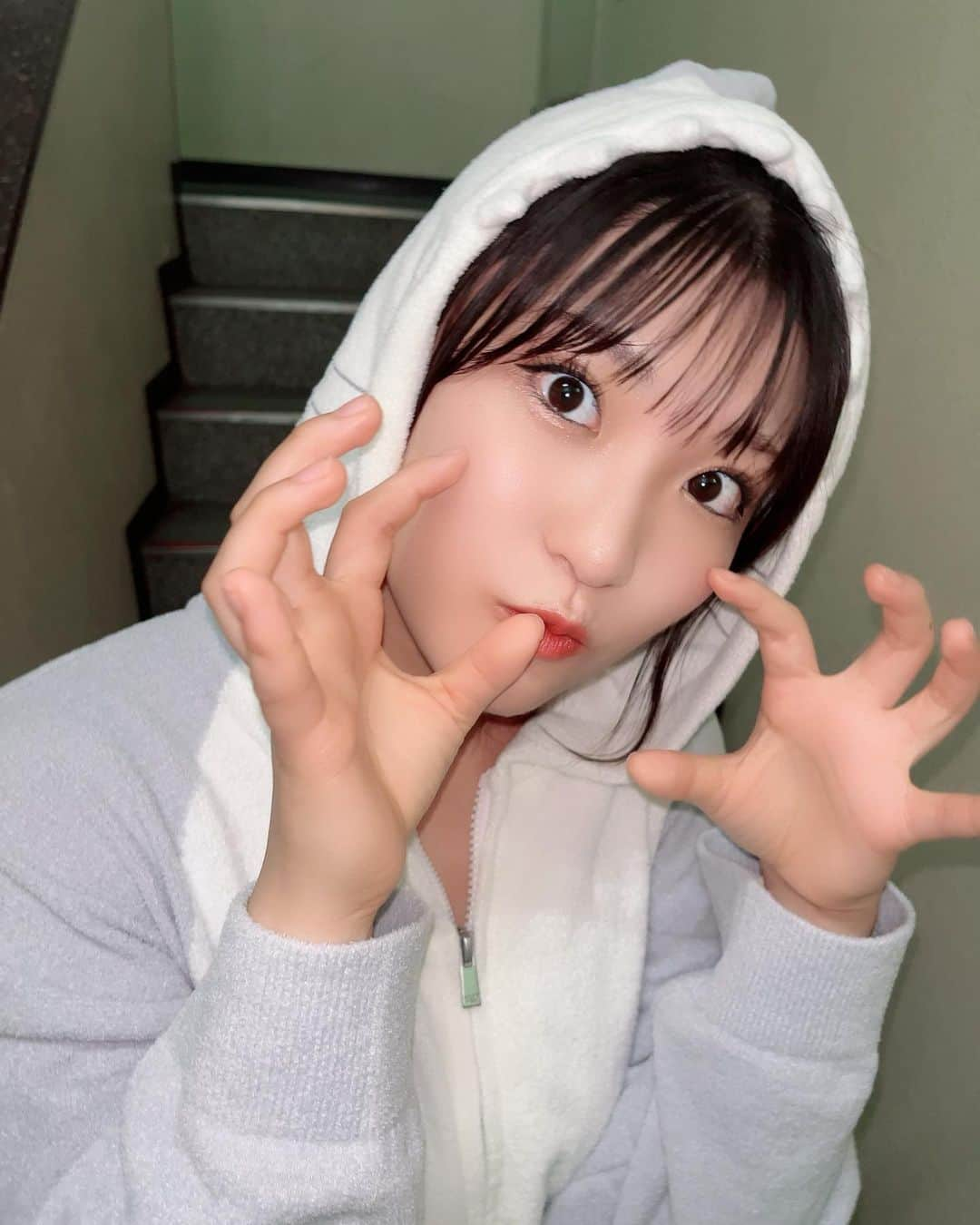 住田悠華のインスタグラム：「ガオ～🦈  . . .  今日は、オンラインチェキ会とForUでした🥺  動画チェキ楽しくってはやくみていただきたい🫣 裏にもメッセージかくので楽しみにしててね🫶  みんなから沢山うれしいことばをいただけて感謝でいっぱいです😭 ありがとう😭  愛に愛で応えられるようにはるか頑張ります🔥  みんなおやすみなさい😪  #パジャマ #サメ #ジェラートピケ #お団子ヘア #idol #アイドル #18 #05 #アプガ #fyp #アップアップガールズ仮 #住田悠華」