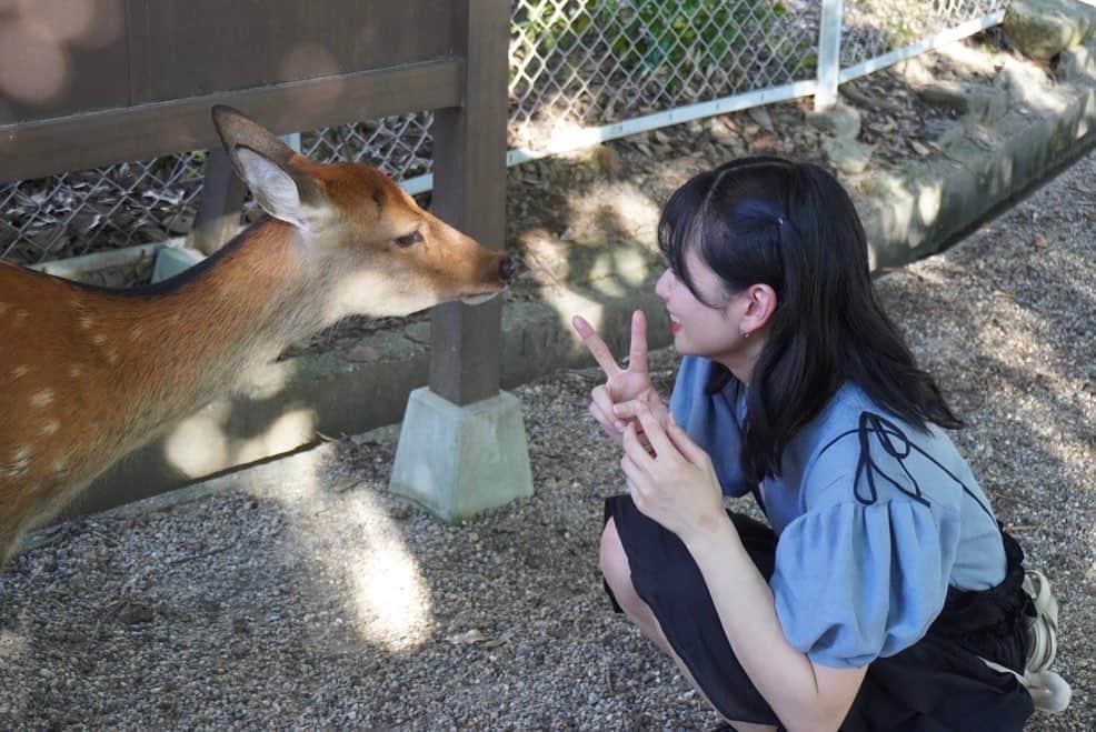 高萩千夏さんのインスタグラム写真 - (高萩千夏Instagram)「初奈良遠征🦌🦌 鹿さん可愛かったな〜  鹿と同じ気持ちになってみた動画 シュールだけどお気に入りなのだ  ライブでは昼夜トリを…！ 会場の皆さんからの熱気がすごくて 体も心温まりましたありがとう！！  また。 次こそ。 奈良行きましょ🫶」9月17日 23時00分 - chinatsu_takahagi_uug2ki