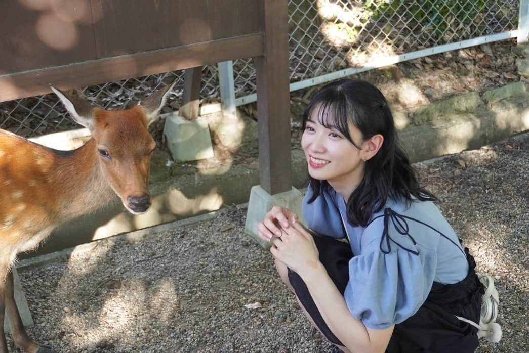 高萩千夏さんのインスタグラム写真 - (高萩千夏Instagram)「初奈良遠征🦌🦌 鹿さん可愛かったな〜  鹿と同じ気持ちになってみた動画 シュールだけどお気に入りなのだ  ライブでは昼夜トリを…！ 会場の皆さんからの熱気がすごくて 体も心温まりましたありがとう！！  また。 次こそ。 奈良行きましょ🫶」9月17日 23時00分 - chinatsu_takahagi_uug2ki