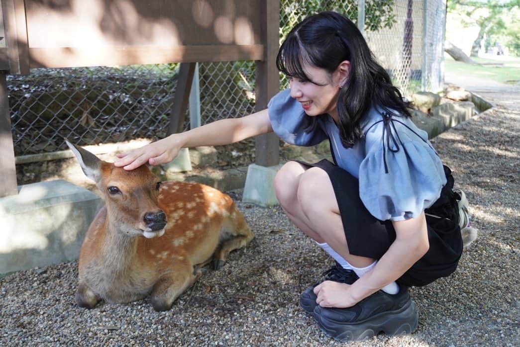 高萩千夏のインスタグラム：「初奈良遠征🦌🦌 鹿さん可愛かったな〜  鹿と同じ気持ちになってみた動画 シュールだけどお気に入りなのだ  ライブでは昼夜トリを…！ 会場の皆さんからの熱気がすごくて 体も心温まりましたありがとう！！  また。 次こそ。 奈良行きましょ🫶」