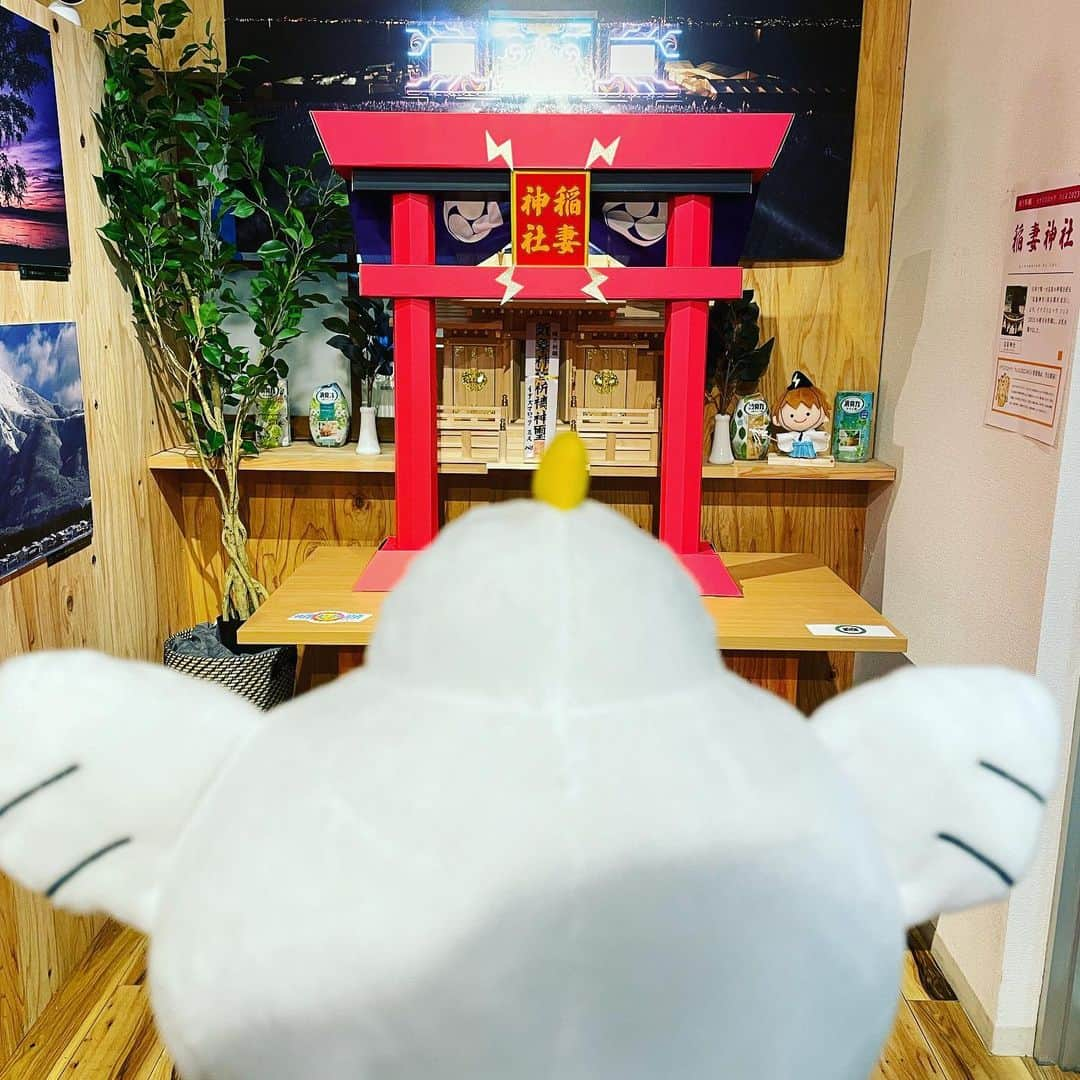 平和堂イメージキャラクター「はとっぴー」のインスタグラム：「⛩️⚡️⚡️🙏✨🕊🕊  滋賀県JR守山駅前の #チカ守山 の #しがトコ さんに設置された #稲妻神社 で来月のイナズマの晴天祈願きてきました❗️  日本で唯一の天気を祈願する神社として親しまれている東京の #気象神社 のご利益があるとのこと。  神主の #西川貴教 さんのキャラクター #タボくん がしっかり祈祷してくれました⚡️⚡️  そして、なんとなんと、 #ARE で話題の #パインアメ と #平和堂 #イーワ #彦根梨アメ のお供えが‼️  これはさらにご利益ありそうです〜🐯✨  ぜひ、皆様もお参りくださいませ⛩️⚡️⚡️🕊️🕊️  #イナズマロックフェス　#IRF23 #平和堂#イメージキャラクター #はとっぴー #アルプラザ #フレンドマート #エール」