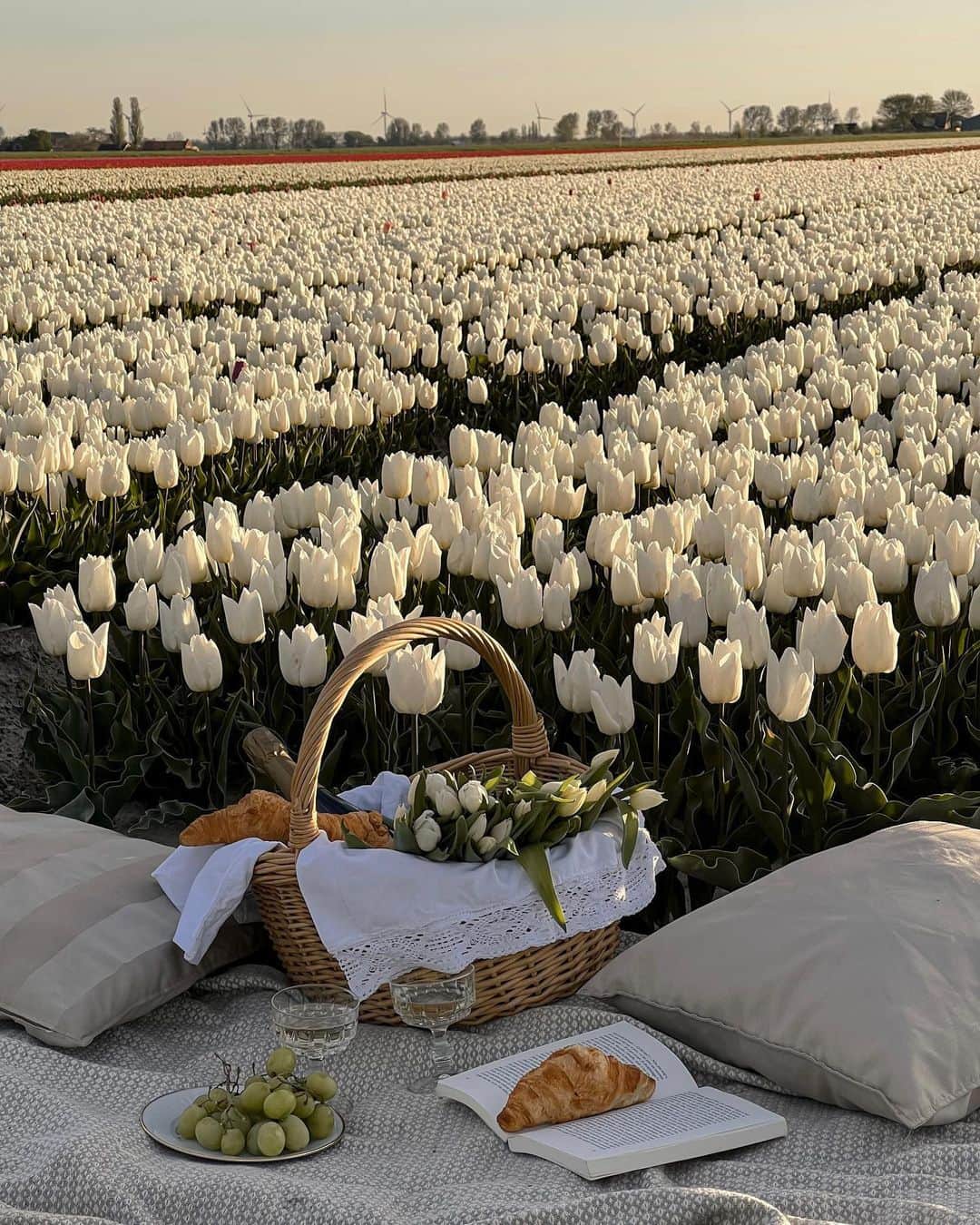 のインスタグラム：「The perfect Sunday afternoon doesn’t exi—  #rg @lamour.olya」