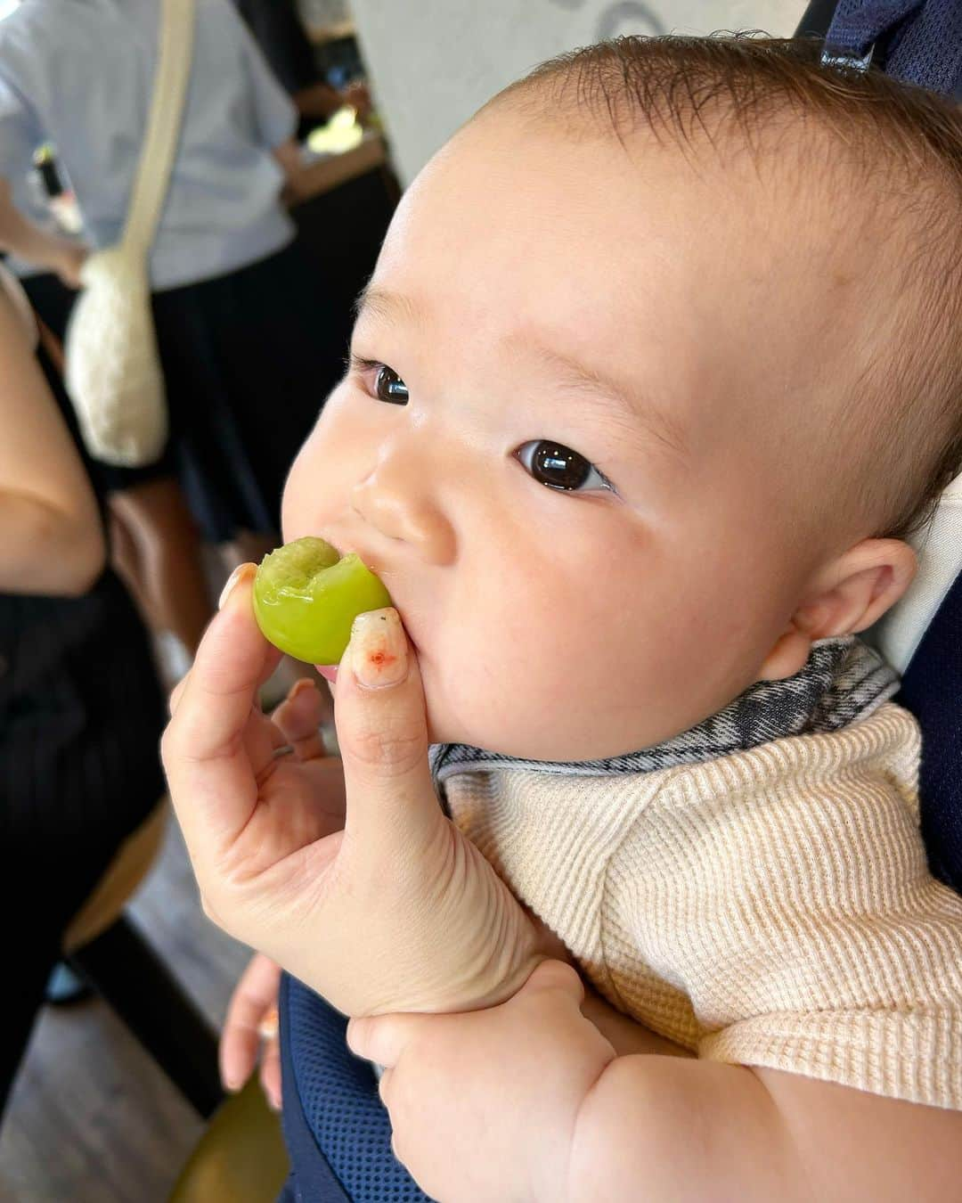 林田雪菜さんのインスタグラム写真 - (林田雪菜Instagram)「めーーーっちゃくちゃ美味しかった🥹 先日食べたシャインマスカットのパフェ💚 @cafe_nanaseki さんは いつも間違いなく美味しい！！ もうすでに食べたい♡ 赤ちゃんも大興奮のビジュアルとお味でした✨ 友達の子ども、可愛いでしょ？🥰  そして帰り、お店の方がベビーカーを下まで運んでくださって めちゃくちゃ感動しました🥺素晴らしいお気遣い…✨ 素敵な方だからこそ この美味しさに繋がっているんですね👏 また食べに行きたいです🥹 スイーツ好きな人は是非！！  #cafeナナセキ #シャインマスカット #シャインマスカットパフェ #熊本スイーツ #甘いもの #フルーツ #美味しいもの記録」9月17日 15時04分 - hayashidayukina