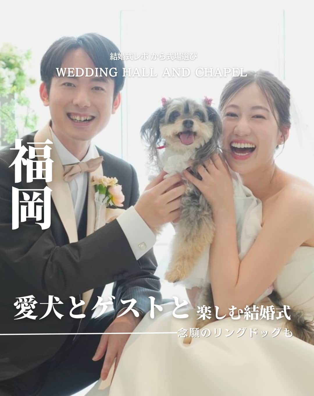 ウェディングアドバイザー by プラコレのインスタグラム：「@wedding_adviser  ”PLACOLE WEDDING 編集部おすすめ” ┈┈┈┈┈┈┈┈┈┈┈┈┈┈┈ 結婚式レポから 式場探し💍 福岡 愛犬とゲストと楽しむ結婚式 ┈┈┈┈┈┈┈┈┈┈┈┈┈┈┈  【式場情報】  ［01］ @hotelgreges_wedding オテル グレージュ 住所：福岡県宗像市神湊600 アクセス：JR鹿児島本線東郷駅 車10分  https://pla-cole.wedding/wedding_reports/18254  ┈┈┈┈┈┈┈┈┈┈┈┈┈┈┈ #dressy花嫁 #プラコレ をつけて投稿してね✨ リグラムで紹介されるかも♡ ┈┈┈┈┈┈┈┈┈┈┈┈┈┈┈ 結婚式場・見積り・演出・指輪・ドレス... 結婚式のことならなんでもプロのアドバイザーに相談を✨ DMやLINE、ハイライト【診断】よりご相談ください💬 . 相談&ブライダルフェア予約で お得な特典やキャンペーン情報もGET！👀 ┈┈┈┈┈┈┈┈┈┈┈┈┈┈┈ >>> ウェディングドレス発信中 👗 @placole_dressy >>> 結婚のご相談は 💬 @wedding_adviser >>> ウェディングレポ #美花嫁図鑑 🌷 @farny_wedding >>> 花嫁準備に欠かせないアイテムをお探しなら 💄 @dressy_beauty_ >>> ファミリーフォトやパパママ婚 👶 @dressy.baby >>> 鎌倉カフェ DRESSY ROOM & Tea 🫖 @dressyroom_tea >>> 名古屋カフェ DRESSY CAFE 🪞 @dressycafe_nagoya  ┈┈┈┈┈┈┈┈┈┈┈┈┈┈┈ #一度きりの人生一度は魔法にかけられて #花嫁 #プレ花嫁 #美花嫁図鑑 #farnyレポ #卒花 #式場迷子 #式場探し #ウェディングレポート #2023秋婚 #2023冬婚 #2024春婚 #2024夏婚　 #挙式演出 #結婚式演出 #結婚式アイディア #結婚式準備 #結婚式場 #おしゃれ花嫁 #ウェディングフォト #ウェディングドレス #式場見学レポ #式場見学 #結婚式場探し #ペット婚 #福岡結婚式 #福岡花嫁」