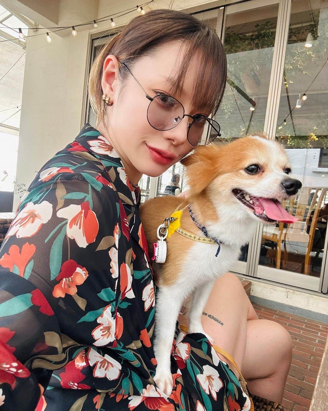 仲万美（Bambi Naka）のインスタグラム：「おでけけ🐕💭  テラスでランチ🍕 店内に出入りするお客さん一人一人に愛想ふりまいて  代々木公園散歩🐾 給水器を忘れちゃって豪快にガブ飲み  カフェで休憩☕️ 看板犬がたくさんいるカフェで大興奮  帰りは、スリングバッグで爆睡💤  たのしい1日でした*･゜ﾟ･*:.｡..｡.:*･' たぁこさんありがとう」