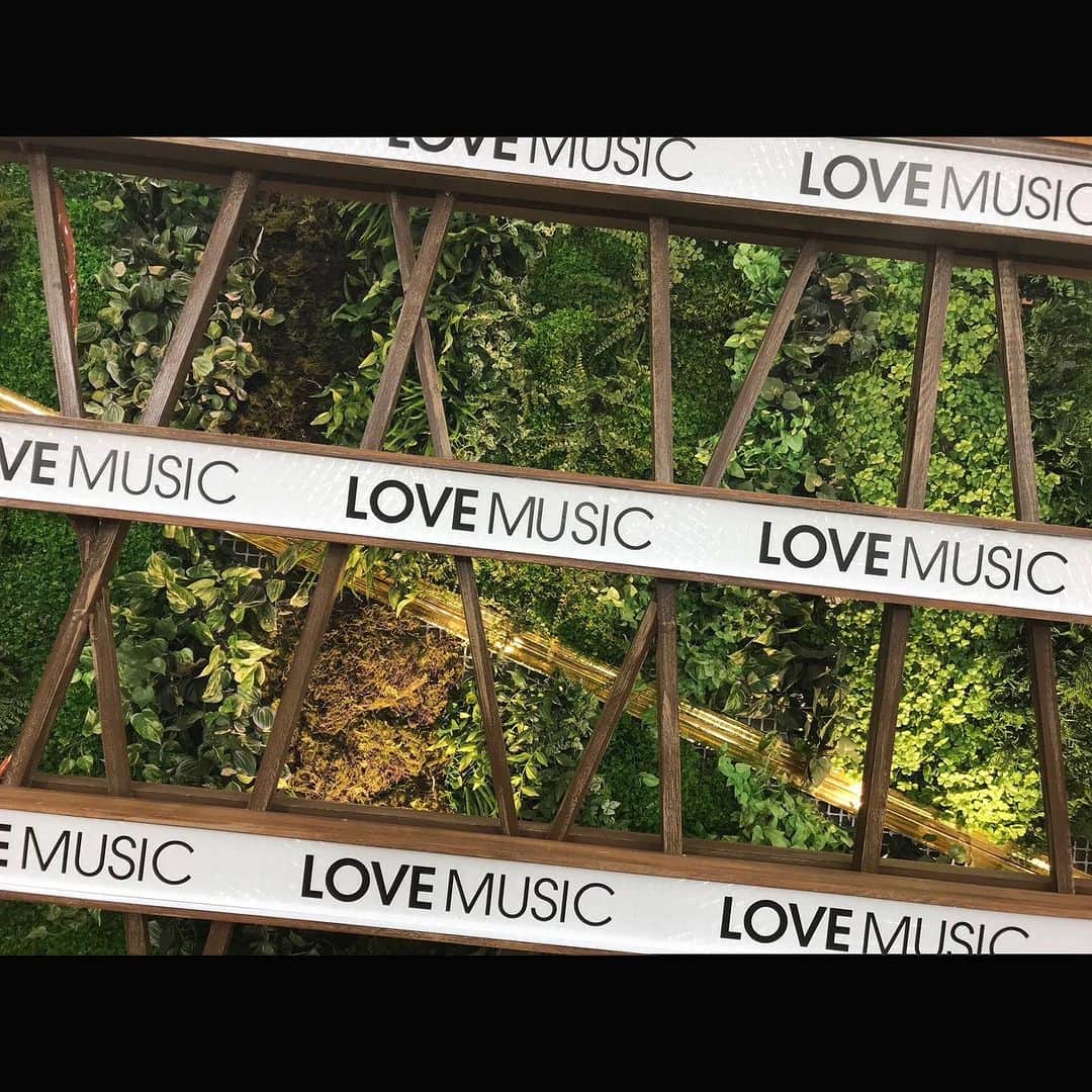 森高千里さんのインスタグラム写真 - (森高千里Instagram)「⁡ フジテレビ「Love music」  とうとう今夜最終回！！ 皆さんぜひ観てくださいね〜🎵  今夜 24:30-放送 ※地域によって放送日程が異なります。 各放送局の HP にてご確認下さい。  #Lovemusic #ラブミュージック」9月17日 18時55分 - chisatomoritaka_official
