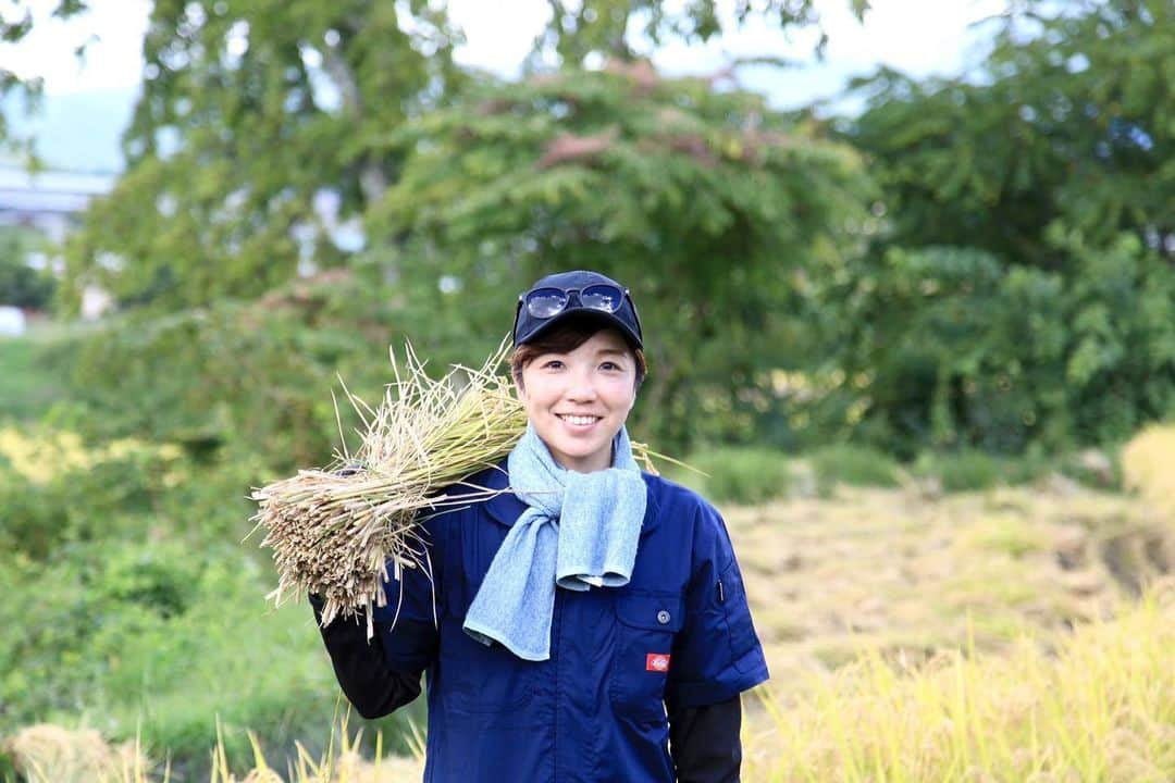 小平奈緒のインスタグラム：「22年ぶり🌾 稲刈り復帰戦でした🧑‍🌾 選手の時は参加が免除されていましたが、毎年このシーズンになると家族一丸で稲刈りをします(田植えのシーズンも同じく)。  実家を離れた高校生の時からしばらく不参加でしたが、久々に家族の暮らしに戻ることができたひとときでした。  稲ははぜかけ(はざかけ)をして、今日から日光浴です🌾 信州の爽やかな風に当たりながら、栄養と旨みを蓄えます。  このお米で握る母のおにぎりが最高に美味しくて、どんな時も私のパワーボールでした🍙  忙しく全国を巡った1週間の終わりに、しっかり身体を動かして心地よい疲労感です♨️ よく寝て、よく食べて、よく働いて🙌  #稲刈り #はぜかけ米 #はざかけ米 #稲木干し  #コダイライス #農家の日常 #信州産 #収穫の秋  Repost is prohibited🙏」