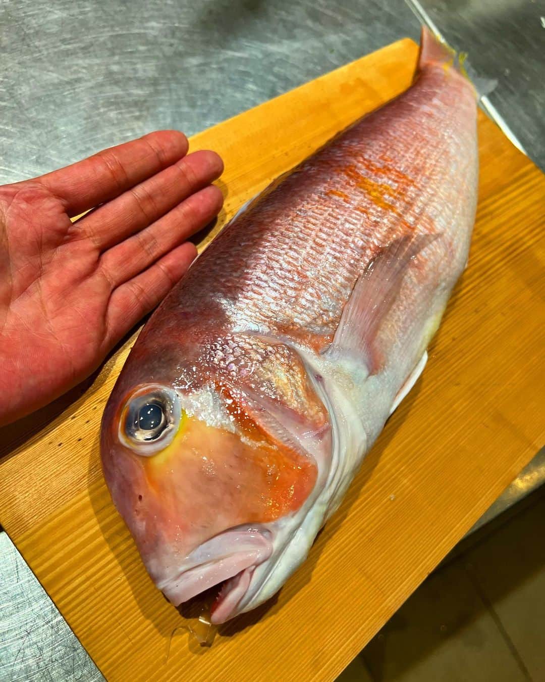 寿司居酒屋 番屋のインスタグラム：「#sushi  #foodpic  #instafood #creativeitamae #ginza  #photooftheday #kappou #kitaohji #KitaohjiGinzaThailand #omakase #foodstagram #love             #割烹 #yummy #gourmetfood   #東京グルメ #shefstalk #instatokyo #instagood #instapic  #bangkoksushi  #料理好き」