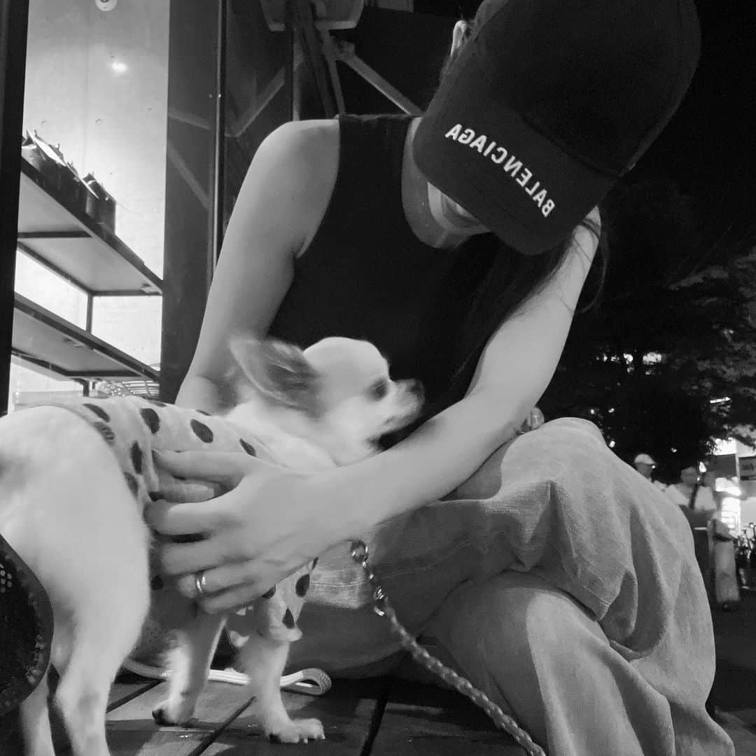 柳めぐみさんのインスタグラム写真 - (柳めぐみInstagram)「. . チョロちゃんの病院帰りに一緒にカフェ☕️🐶 幸せ😀♡ . #愛犬 #命」9月17日 19時49分 - yanameguchan