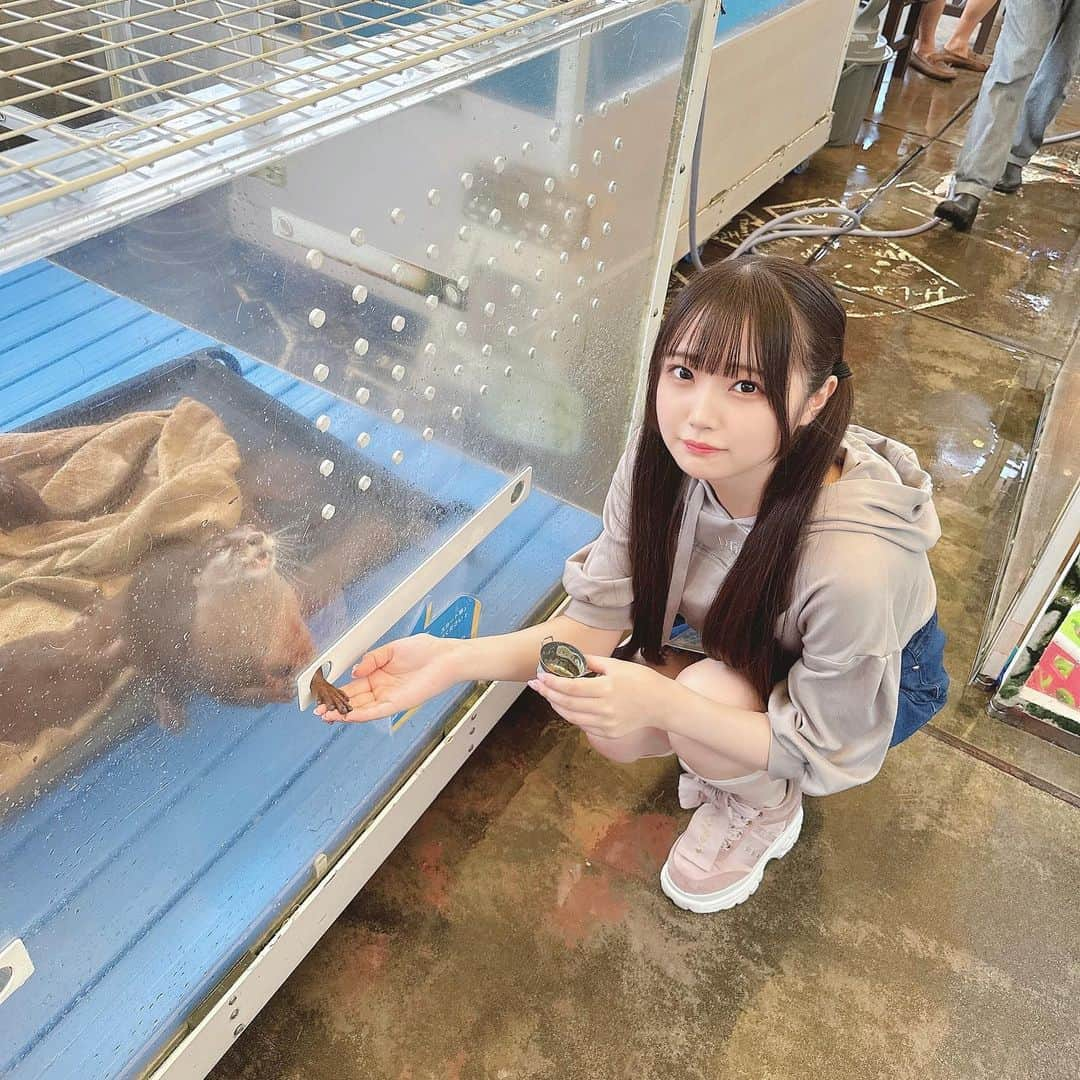 佐藤美波のインスタグラム：「🦦  親友とかわうそに会いにいきました🦦♡ あまりにもかわいすぎたな……  良き休日を過ごしました〜！！🪄︎︎   #かわうそ #カワウソ #カワウソカフェ」