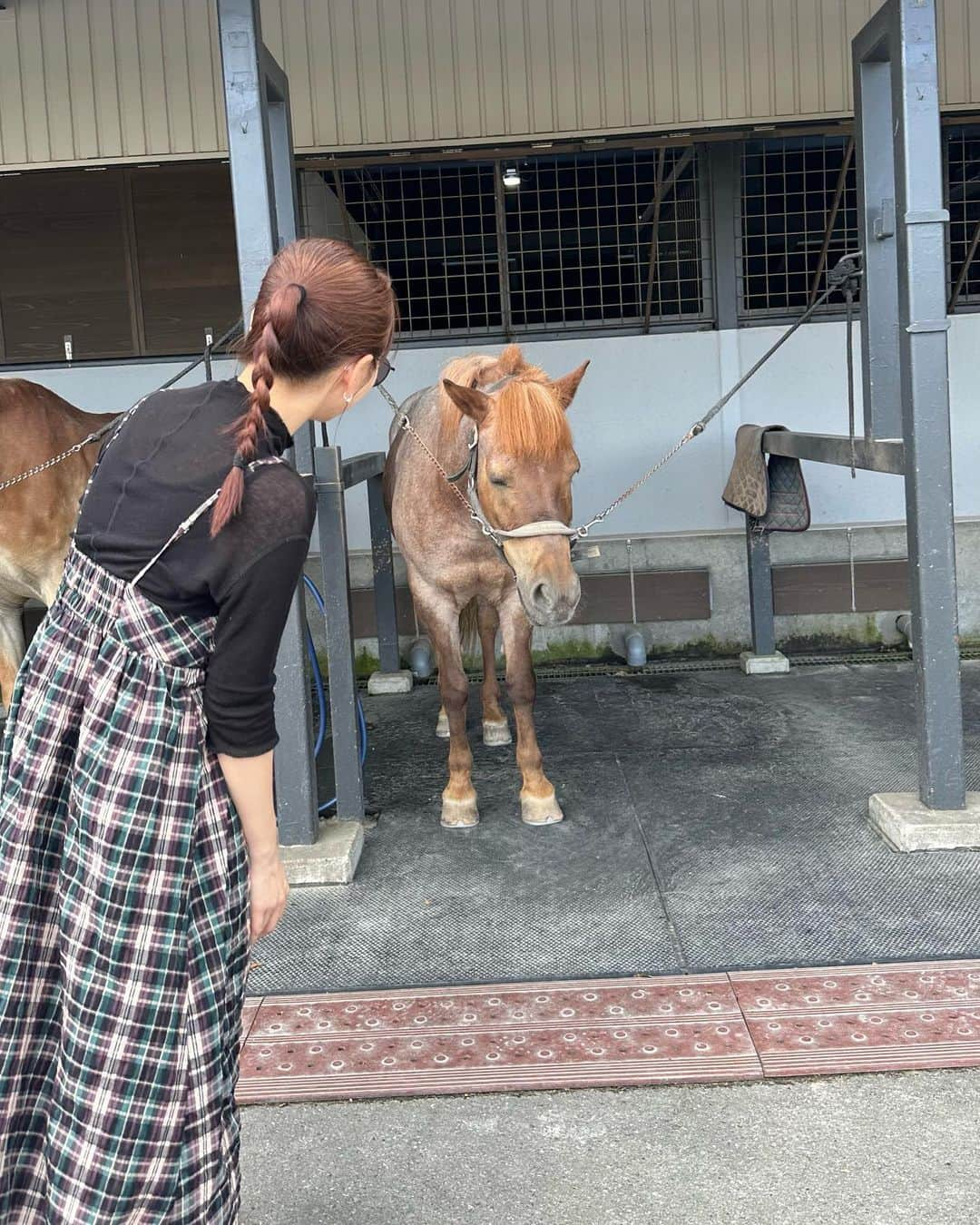 おまめ（Miki）さんのインスタグラム写真 - (おまめ（Miki）Instagram)「蒜山🐎🥕　 ⁡ 毎年、夏の終わりになると行きたくなる蒜山。 特に何をするわけでもないんだけど いつも通り馬にエサやり体験❤︎ ⁡ 空腹なのか前歯剥き出しでみんな必死だった。笑 ⁡ ⁡ 最近、休みが被ってる日は パタパタと動いていたので 久しぶりのプチ遠出楽しかった🪿 連れてってくれてありがと〜！ ⁡ ⁡」9月17日 20時14分 - mamexx19