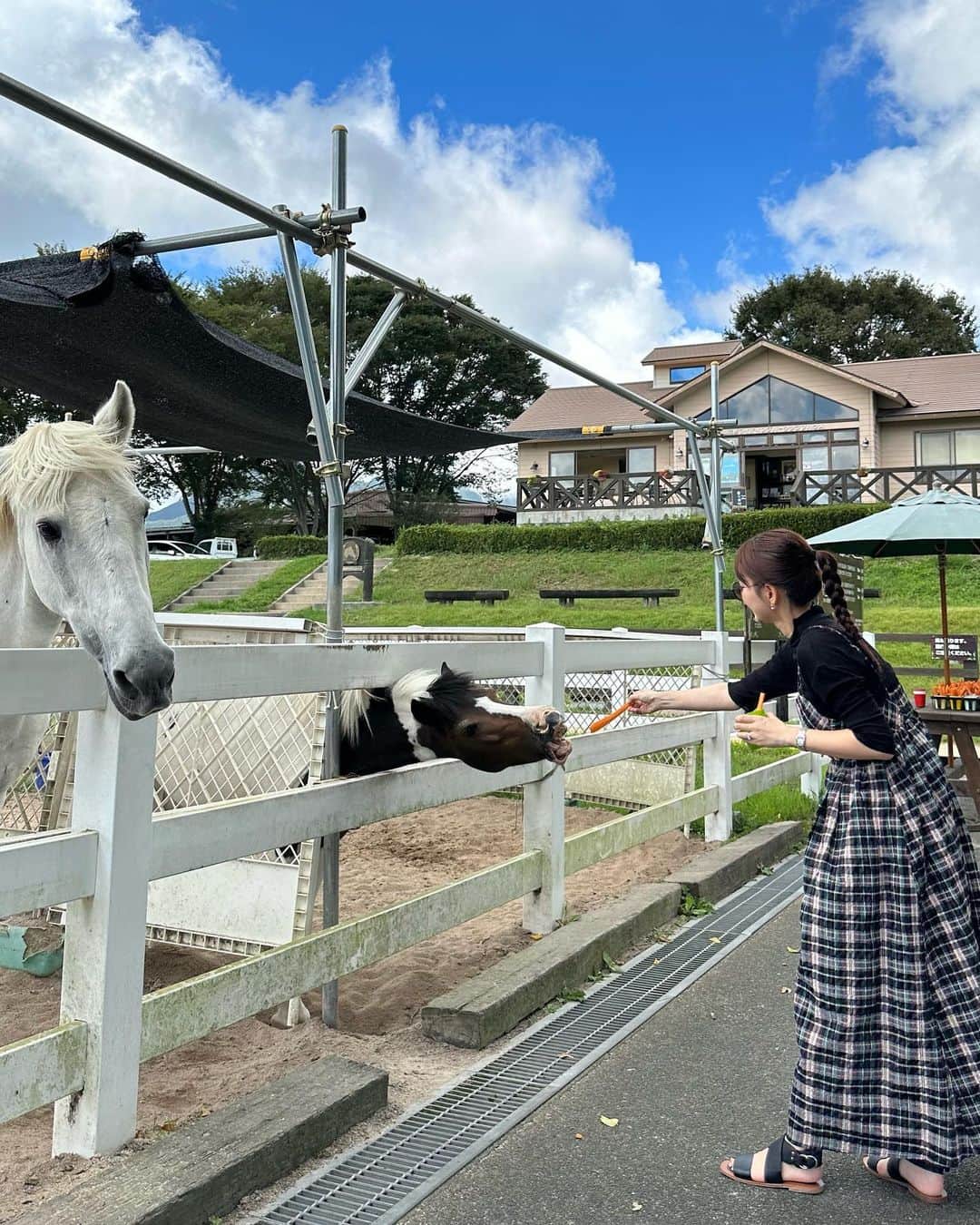 おまめ（Miki）のインスタグラム：「蒜山🐎🥕　 ⁡ 毎年、夏の終わりになると行きたくなる蒜山。 特に何をするわけでもないんだけど いつも通り馬にエサやり体験❤︎ ⁡ 空腹なのか前歯剥き出しでみんな必死だった。笑 ⁡ ⁡ 最近、休みが被ってる日は パタパタと動いていたので 久しぶりのプチ遠出楽しかった🪿 連れてってくれてありがと〜！ ⁡ ⁡」