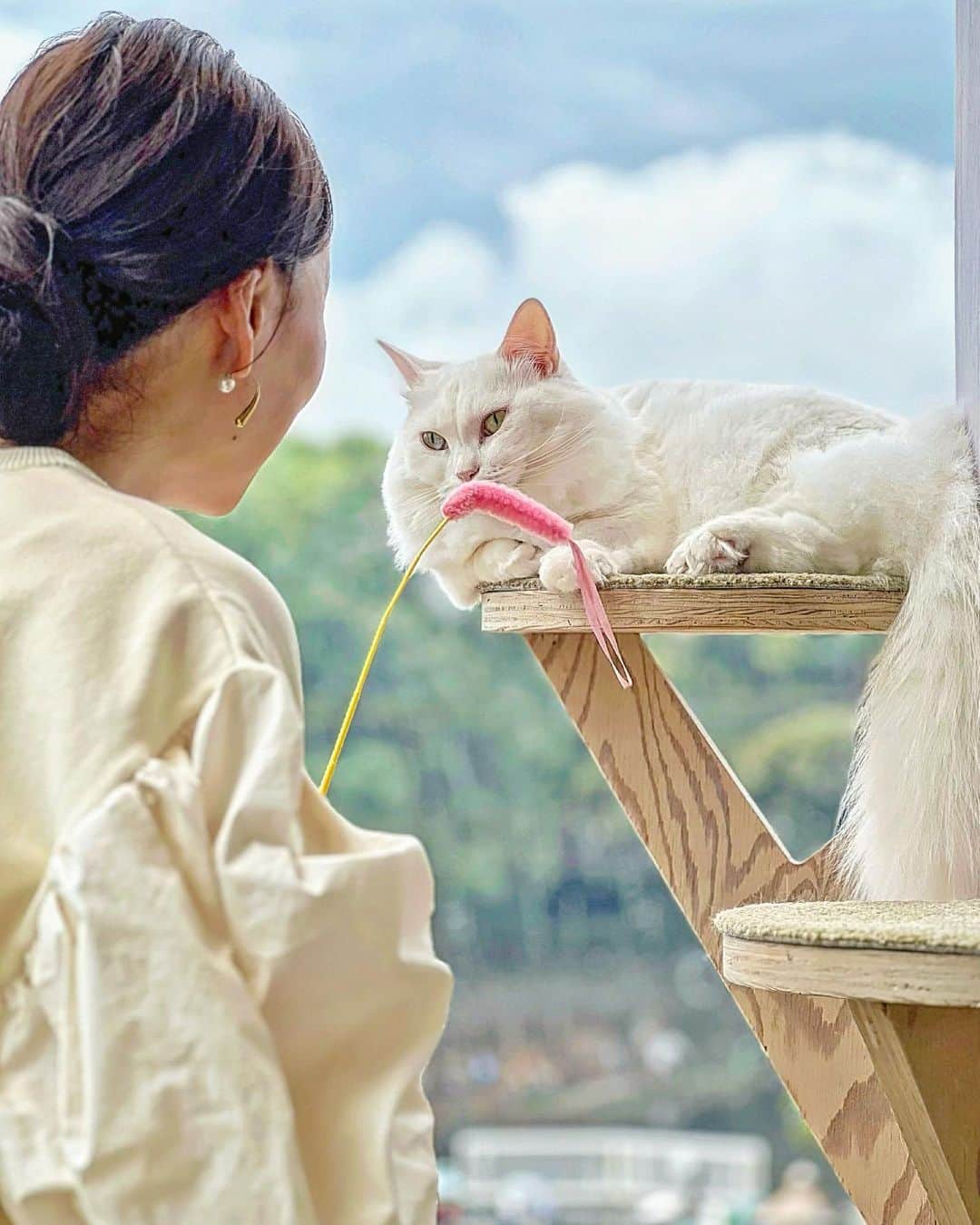 能美黎子さんのインスタグラム写真 - (能美黎子Instagram)「・ 初めて猫カフェへ🐈  #猫カフェmocha  @catcafemocha  @mocha.harajyuku   肉球がたまらない。 まるいフォルムもたまらない。  こんなに癒された時間、 久しぶりかも。  猫と一緒に、 ウトウト眠くなってしまったほど癒しの空間。  猫好きさんには、 絶対におすすめしたい場所。  カフェにいくなら、 猫カフェへ。  #猫カフェ#猫カフェモカ #猫好きさんと繋がりたい #猫写真 #PR #原宿カフェ #猫カフェmocha原宿店 #おすすめスポット#猫のいる暮らし #ねこすたぐらむ #癒し猫 #癒しの空間 #ねこスタグラム #カフェ巡り #東京カフェ #休日の過ごし方 #東京観光 #tokyotravel#原宿猫カフェ」9月17日 21時12分 - reikonohmi