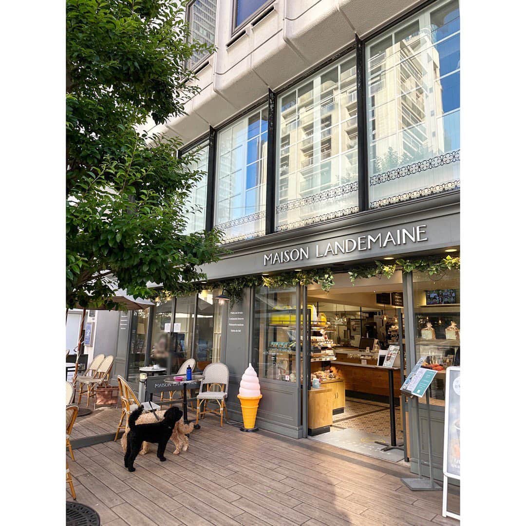 武藤京子さんのインスタグラム写真 - (武藤京子Instagram)「* * バゲット🥖を買いに行って ちょっと休憩 * まだまだ暑くて ついつい冷たいものに手が伸びる💦 * #まだまだ #オリーブオイルにバゲット ブーム #継続中　 #🥖」9月17日 21時07分 - kyokomuto0628