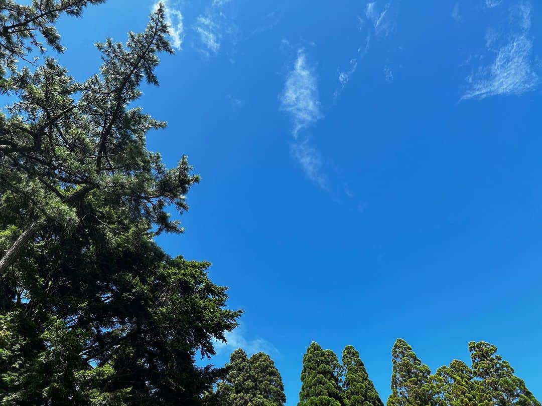 上野大樹さんのインスタグラム写真 - (上野大樹Instagram)「神戸六甲山 ロッコーデキャンプフェスティバル  ありがとうございました！ 六甲山の風、光、空気。そしてみんなの熱気。素晴らしい日でした！」9月17日 21時37分 - uenodaiki_