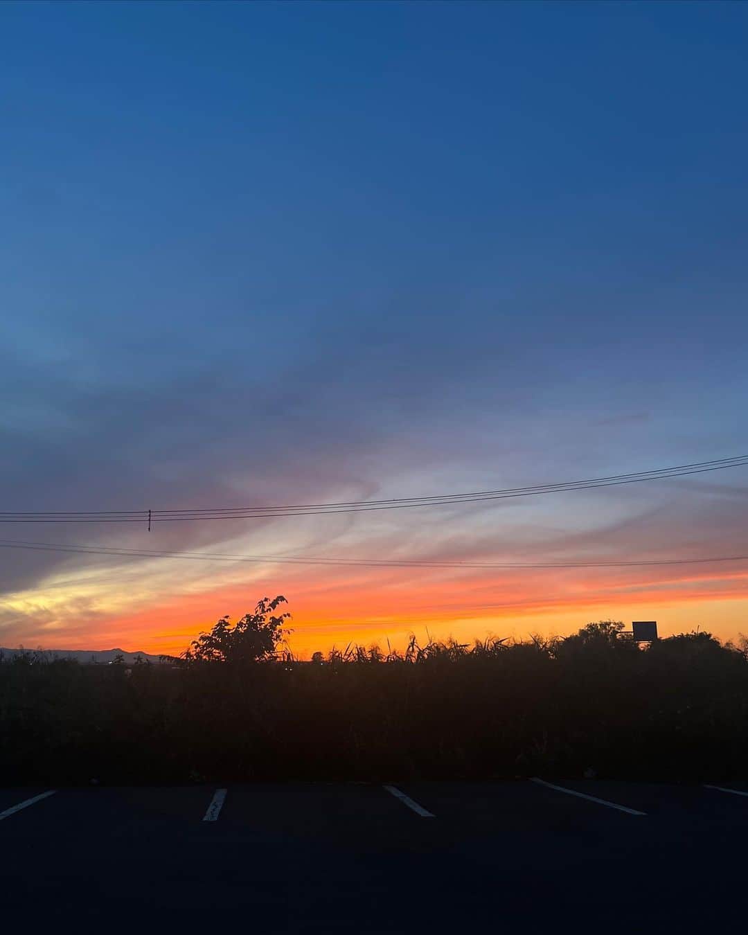 米田みいなさんのインスタグラム写真 - (米田みいなInstagram)「北海道っ  次は、オーバーオールきて、長靴履いて、牧場いきたい  🐄🌱🥛🧈  #札幌 #北海道 #japan #hokkaido #新千歳空港 #royce #札幌グルメ #新千歳空港グルメ #ストリート系女子 #メンズライク女子 #エクステ #金髪ロング #パンク #ビッグシルエット #カーゴパンツ #古着 #ネイル #ブラックネイル #韓国ストリート #japanesegirl #좋아요반사　#셀카  #グランジファッション #パンク #ヘアアレンジ #gothic」9月17日 21時54分 - miina_yoneda
