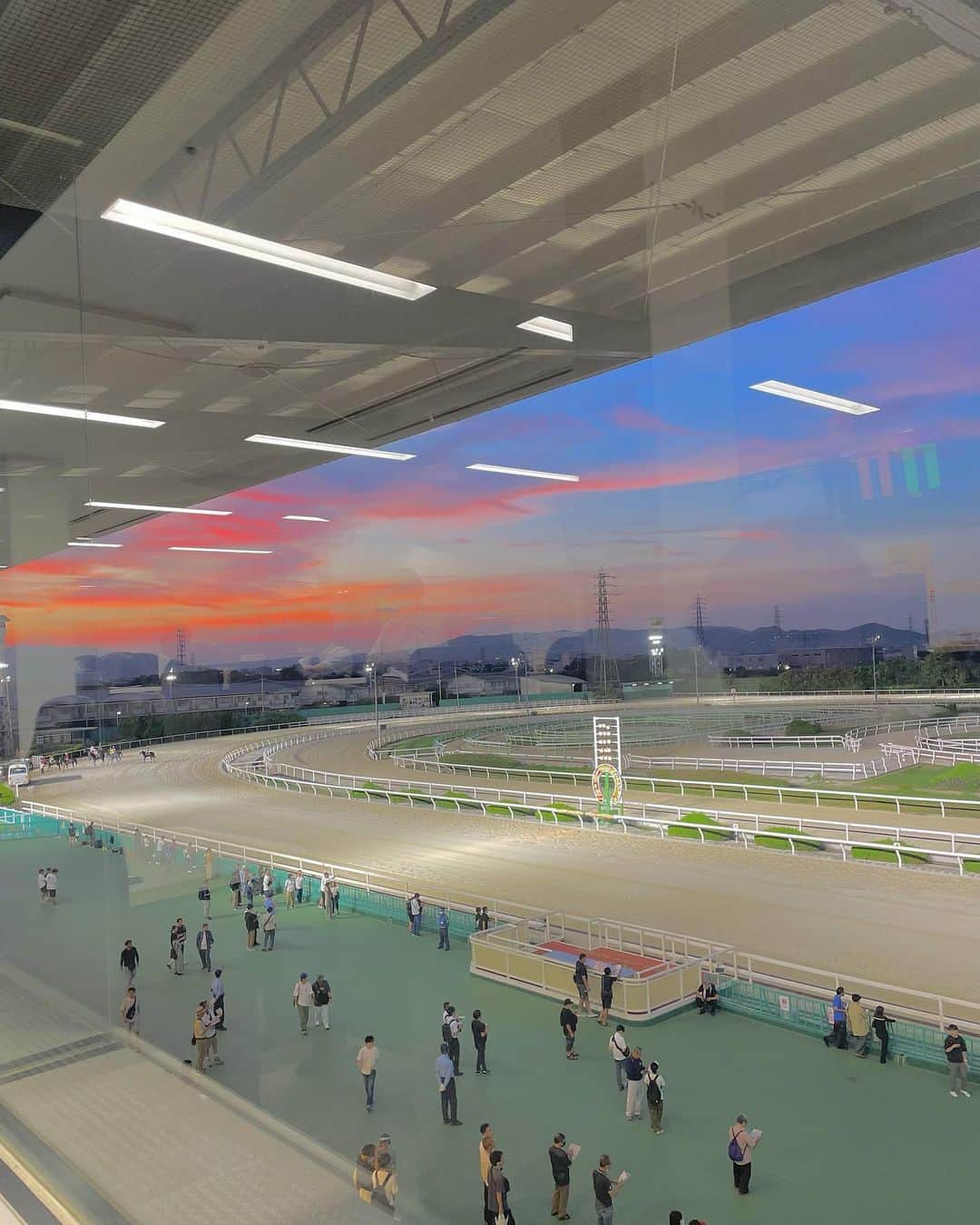 海江田麻貴さんのインスタグラム写真 - (海江田麻貴Instagram)「ㅤㅤㅤㅤㅤ  ㅤㅤㅤㅤㅤ  近くで見るお馬さんはおめめくりくりで本当に可愛いし、 生で観るレースは迫力満点だし、改めて競馬もお馬さんも だいすきだなって思ったきゅうじつ🐴🩶たのしかった(◜ᴗ◝ )  ㅤㅤㅤㅤㅤ アレ仕様のそのたんも可愛かった🐯💛 皆さん園田競馬場にたくさん遊びに来てください🤍 そのたんと星タッチもしにきてね✋⭐️💙🩷  ㅤㅤㅤㅤㅤ  ㅤㅤㅤㅤㅤ  ㅤㅤㅤㅤㅤ  ㅤㅤㅤㅤㅤㅤㅤㅤㅤㅤㅤㅤㅤㅤㅤㅤㅤㅤㅤㅤㅤㅤㅤㅤㅤㅤㅤㅤㅤㅤㅤㅤㅤㅤㅤ#SKNフラッシュ8 #園田競馬 #姫路競馬 #そのたん #ひめたん #競馬女子 #UMAJO #競馬予想 #園田競馬場 #イメージガール #japanesegirl #日本女孩 #ウマジョ #地方競馬 #競馬好きと繋がりたいわ」9月18日 8時59分 - _makiii0924_