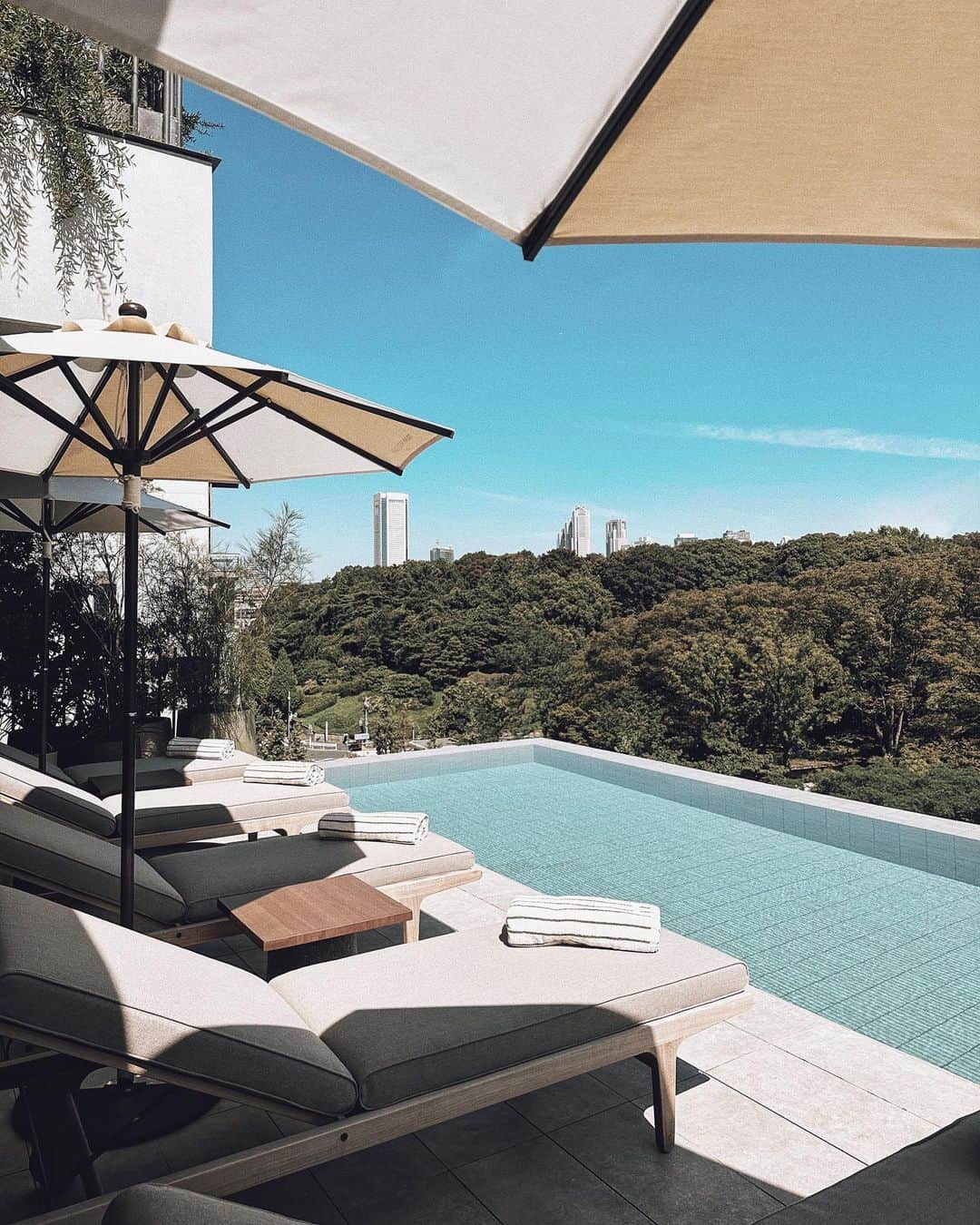 三浦大地のインスタグラム：「TRUNK (HOTEL) YOYOGI PARK @trunkhotel_yoyogipark   ここは常宿にしたいぐらい好き。  #trunkhotelyoyogipark」