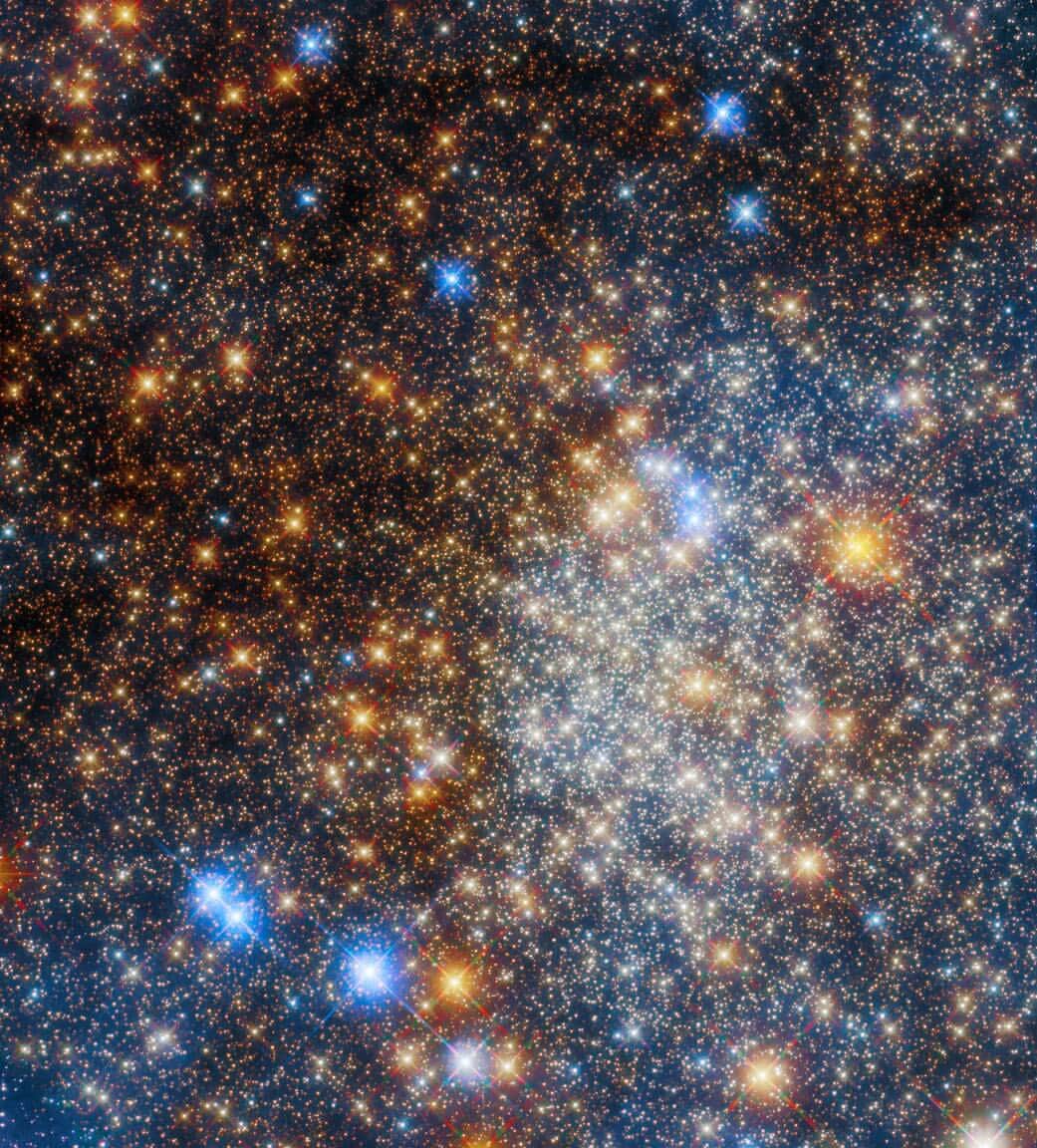 NASAのインスタグラム：「This @NASAHubble image just sparkles, doesn’t it? ✨   This is a globular star cluster located deep in the Milky Way. The dust in space affects how we see the different colors in the image. Mottled dust clouds make parts of the cluster look redder.   Image Description: The frame is completely filled with bright stars, ranging from tiny dots to large, shining stars with prominent spikes. In the lower-right the stars come together in the core of the star cluster, making the brightest and densest area of the image. The background varies from darker and warmer in color, to brighter and paler where there are more stars.   #Hubble #NASA #Space #Star」