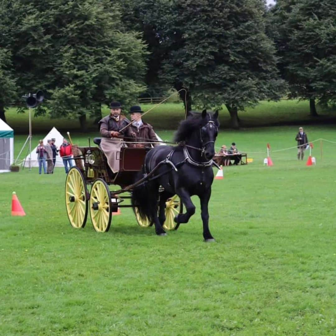 ベーミッシュ美術館のインスタグラム：「We're enjoying day 2 of Attelage Horse Weekend today, the competitors are putting on a spectacular display of carriage driving skills! Have you taken any photos of the impressive turnouts? Tag us if you have, we'd love to see your photos.」