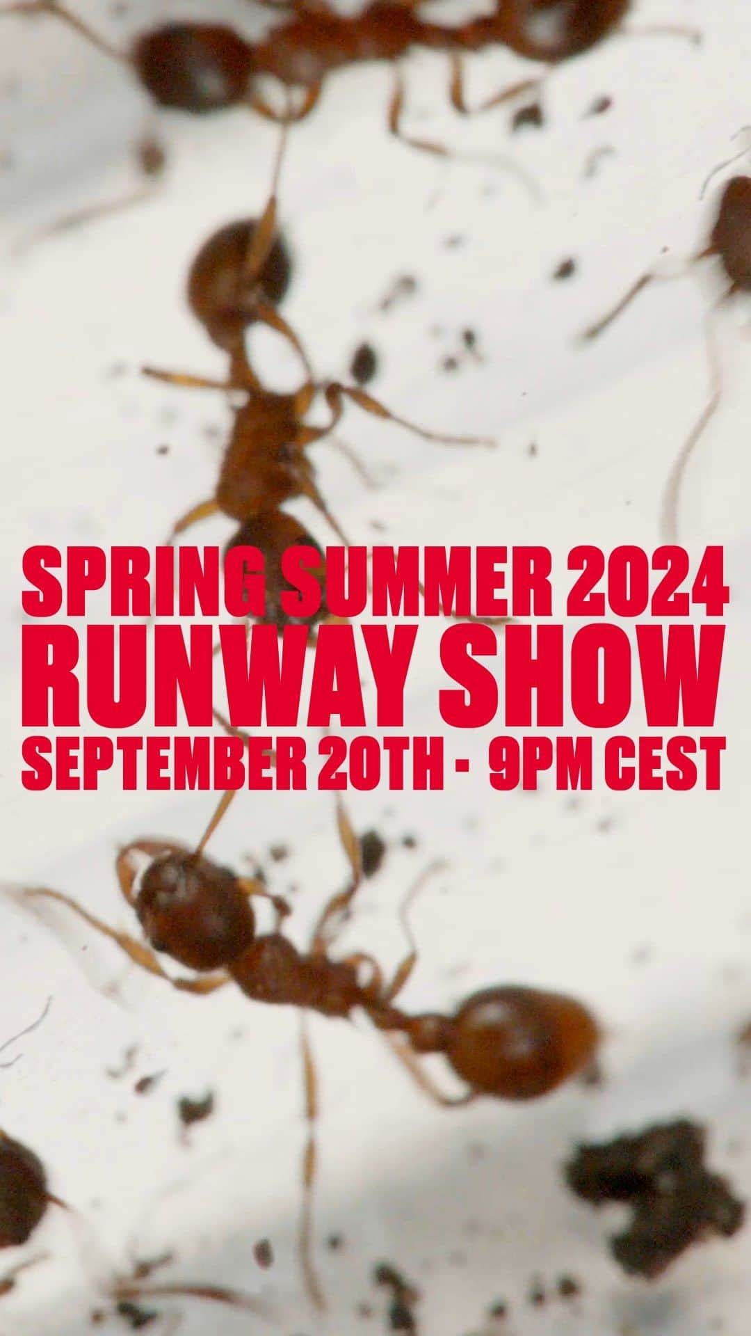 ディーゼルのインスタグラム：「The Diesel Spring Summer 2024 Runway Show.  Sept. 20, 9 pm CET.  Live from Milan.  Watch the livestream here or on Diesel.com  #ForSuccessfulLiving #DieselSS24」