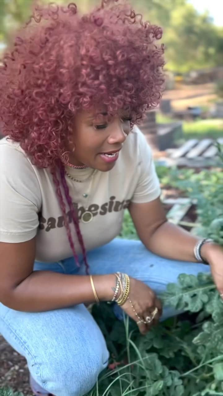 ケリスのインスタグラム：「🍉 did you know: The first recorded watermelon harvest occurred nearly 5,000 years ago in Egypt ❤️💪🏽 #farmfacts #organicfarming #supportblackfarmers #bloodline」