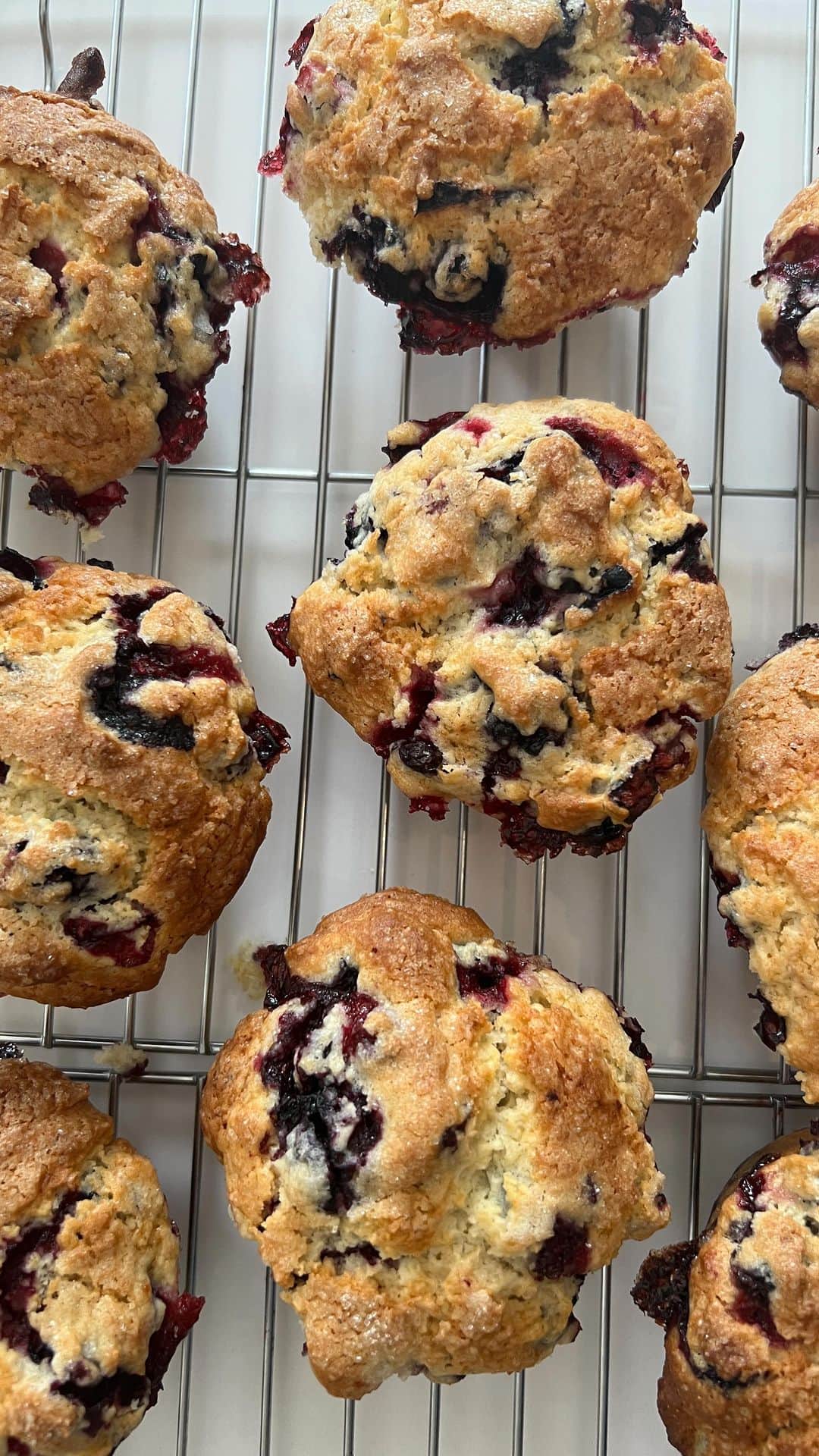 ブラッド・ゴレスキーのインスタグラム：「Brad bakes blueberry muffins for @garyjanetti 🫐 Special guest appearance from Alice and Theo 🐶🐶  Recipe in stories @alexandracooks ❤️」