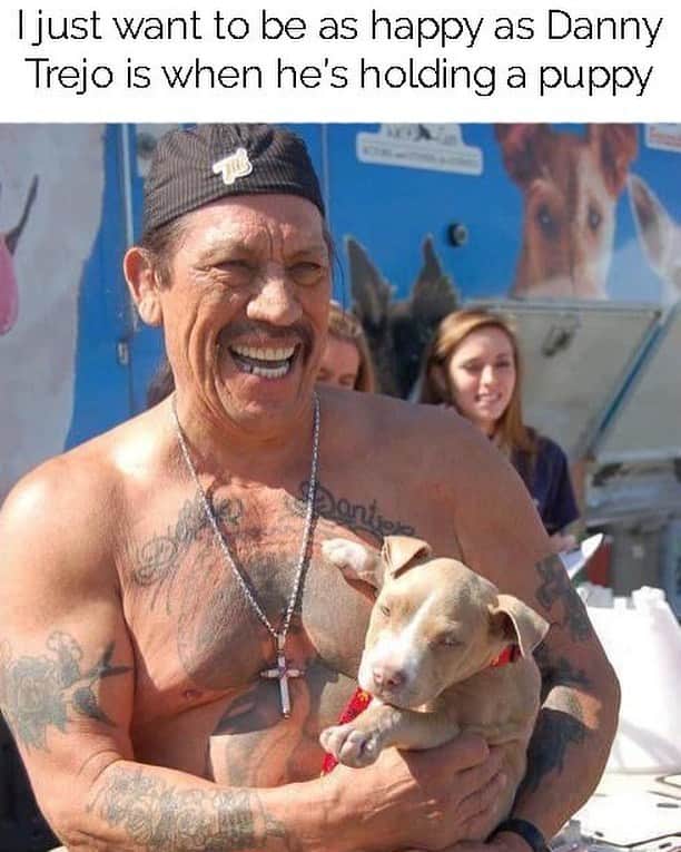 ダニー・トレホのインスタグラム：「Happy Sunday!  #puppies #dannytrejo」