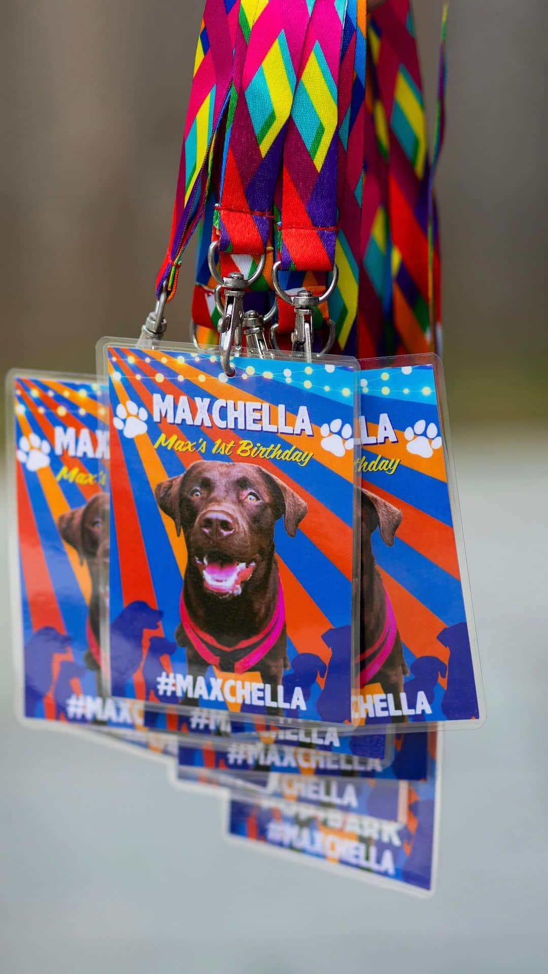 のインスタグラム：「MAXCHELLA 🎉 you were the festival of all festivals 🌻   We had the cutest day EVER celebrating Max’s 1st birthday yesterday @popandbark style🥳 The sun was shining ☀️, tails were wagging 🐶 and the pupuccinos were flowing 🍦   A big thank you to @wearesunana for bringing the pawty vibes with your banging DJ set 🎶 @the_tidy_dog_company for the epic doggo cakes 🎂 @ravenimagery for capturing all the pawty fun 📸 @theoccasionbarco for making the tastiest pup 🐾 themed human cocktails🍹 @sparkelliee for the sparkliest bottles ✨ 🍾 my girlies @theglitteraddict for our glittery festival vibes and @natalieevans_photography for capturing the special day too 📸  Just the most amazing day... We are so grateful 🥹💘🐾」