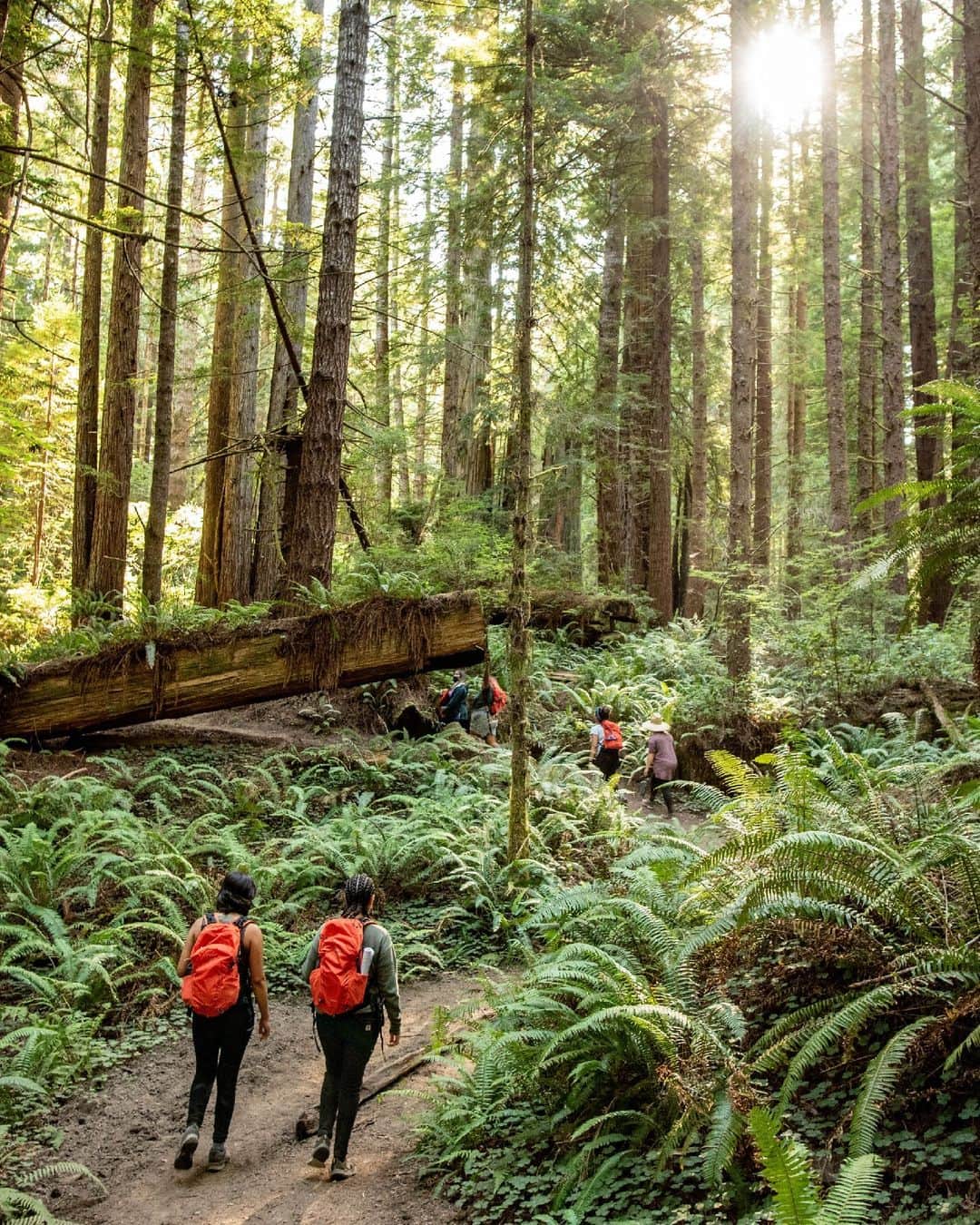 オスプレーのインスタグラム：「Osprey is proud to be celebrating Hispanic Heritage Month and the 10-year anniversary of our friends and longtime partners, @latinooutdoors!   This year, the LO team launched their “Then & Now” series – a compilation of recollections that will preserve and conserve LO’s history, and honor just a few of the many individuals who have played a role in the LO community over the years.  Check out our Stories to find a link to a few snippets from the “Then & Now” series.  📷 Credit: Michael Ocasio & Eddie Negrete」