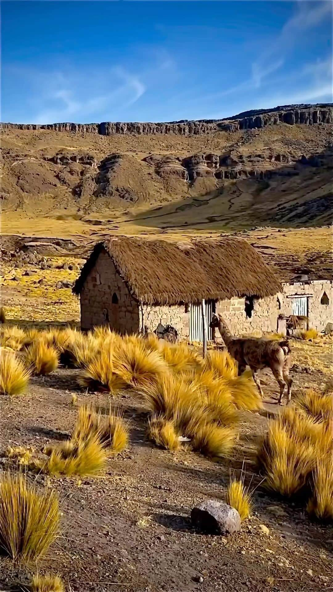 Instagramersのインスタグラム：「@igersperu   Comunidad de  Pampamarca. Lugares hermosos de Abancay 🤣🏞️🌾  📷 @wanderlust_0_  🗺 @igersApurimac  🧔🏽 selección por @carliebeltran  Usa #igersperu #peru #igersApurimac #igerstube #igers」