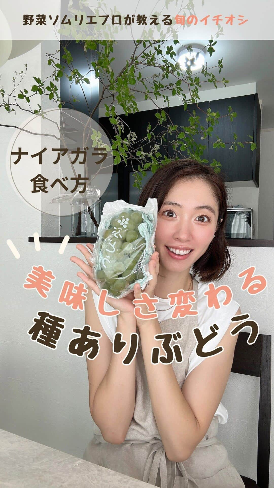 菅野広恵のインスタグラム：「果物は食べ方や保存法1つで ⚪︎より美味しくも🤤❤️ ⚪︎ん？あれ？と感じることも😱 実はあります❣️  今回は、今が旬の 樹上完熟ナイアガラの 美味しい食べ方を ご紹介🍇🍇🍇  🔸ナイアガラの美味しい食べ方 皮と実の間が1番甘いので 皮をむいて食べるのではなく 口に皮も実もふくんで 吸い込む様にして 食べてみてください♡  私は種も食べちゃう時もありますが 種は出しても、もちろん大丈夫です🙆‍♀️  --- @vegetaiment より山形県紅楓庵いとうファームさんの 樹上完熟ナイアガラ9月17日から19日までの3日間限定で 再販中です🍇 ----  #果物　#果物好きと繋がりたい  #種ありぶどう　#自然派　#野菜保存法　#旬の食材  #旬の果物  #食べる美容　#食べても太らない  #食べて痩せる  #美容食 #農業インスタグラム　#野菜ソムリエ　#野菜ソムリエプロ」