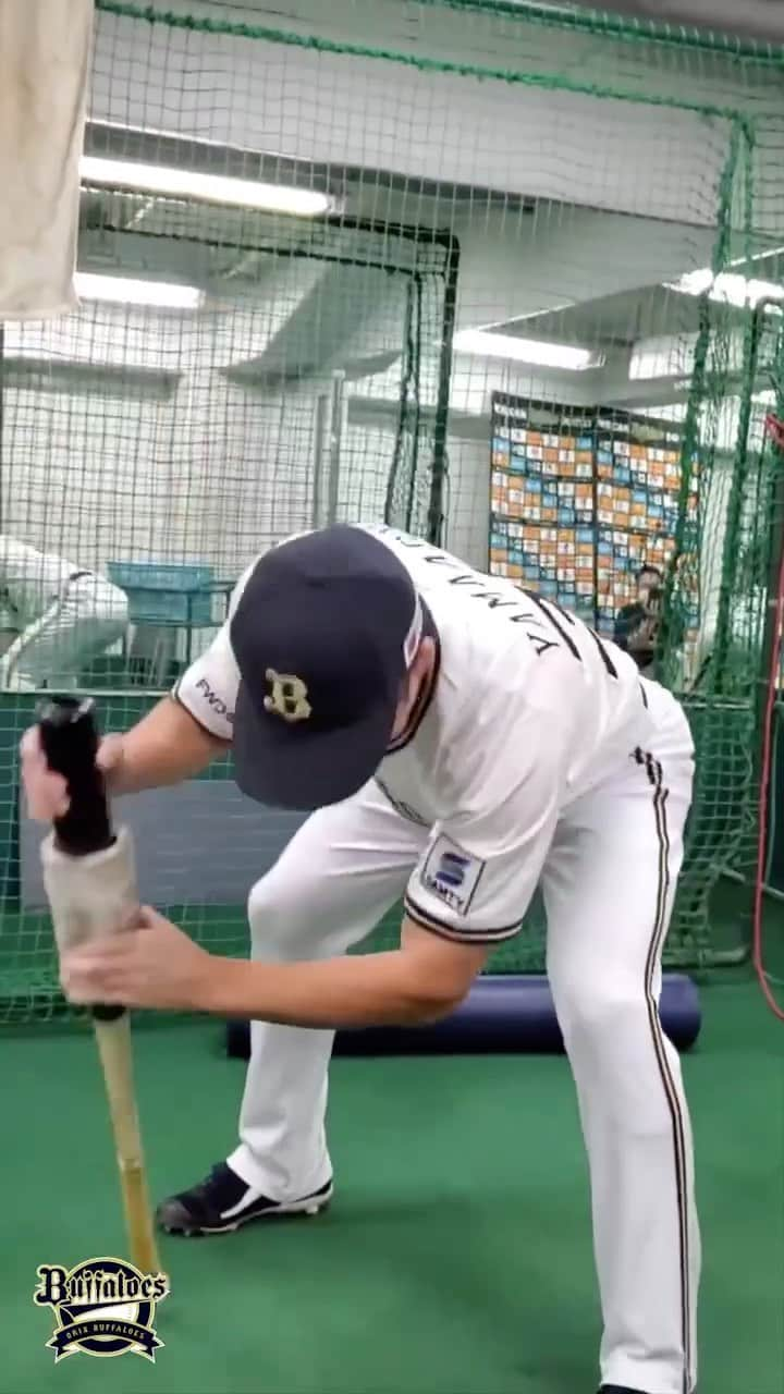 オリックス・バファローズのインスタグラム