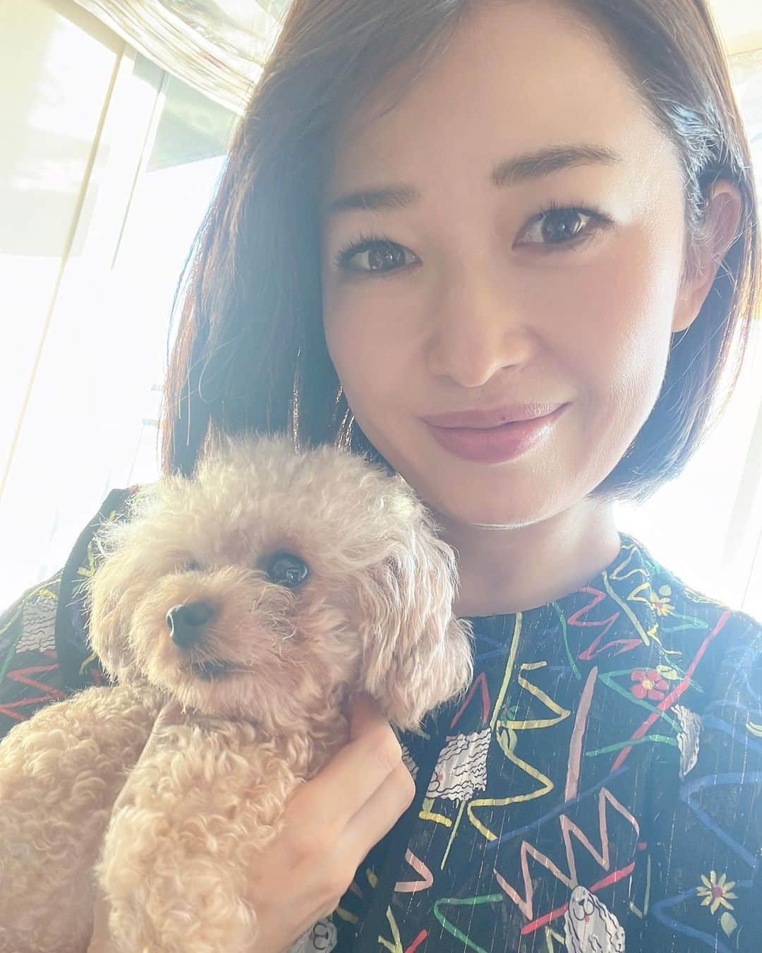 松丸友紀のインスタグラム：「実家が賑やかです✨✨  保護犬のロミオ。 今母が自宅で一時預かりしています。 繁殖犬だったようで、小さなケージにずっと入れられ体が小さく、声帯も切られてしまっていて、吠えても声が出ないんです。  そんな悲しい出来事があったなんて思えないほど甘えん坊で元気いっぱい☺️  これから幸せになろうね☺️✨✨  2枚目はおばあちゃん犬ラヴィです😊」