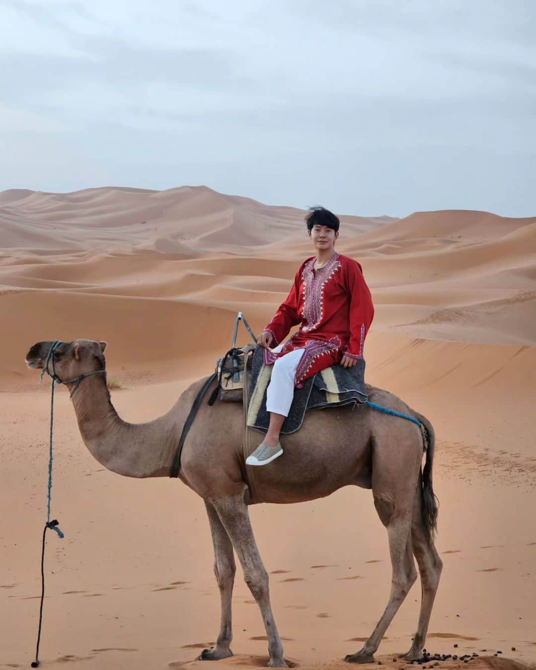 アイス・サランユーさんのインスタグラム写真 - (アイス・サランユーInstagram)「Morning Vibes 🌞 At Sahara Desert ,Morocco🐪 พี่อูฐ🐪ตัวที่ขี่ เดินไปขรี่แตกไป ฉี่รั่วไปตลอดทาง เราบอก Lpcal guide ว่าเปลี่ยนตัวไหม เรากลัวเขารับน้ำหนักเราไม่ไหว ไกด์บอก อูฐ🐪เขาแข็งแรงมาก 100 โล ก็ไหว เขากินเยอะ ขรี้แตกเป็นปกติ !เอาก็เอาหว่ะ! 😅ขอโทษนะพี่อูฐ🐪  #sahara #saharadesert  #morocco #icesarunyu  #icesarunyuinmorocco #icesarunyuaroundtheworld」9月18日 17時24分 - icesarunyu