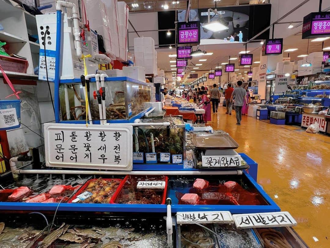 チェ・ソンヒョンさんのインスタグラム写真 - (チェ・ソンヒョンInstagram)「오늘의 #노량진수산시장   뭐 먹고 싶냐고 주관식 문제를 내놓고 답을 듣기 전에 자꾸만  #꽃게 먹을까 OX 퀴즈를 맘에 드는 답이 나올 때까지 시간차를 두고 반복 출제한 남편님🤣  게 껍데기 잘라 속살 꺼내느라 여보가 고생하셨지만 엔딩요정 #게딱지볶음밥 입에 들어가는 순간 여기가 천국😍♥️👍」9月18日 17時24分 - songhyunc