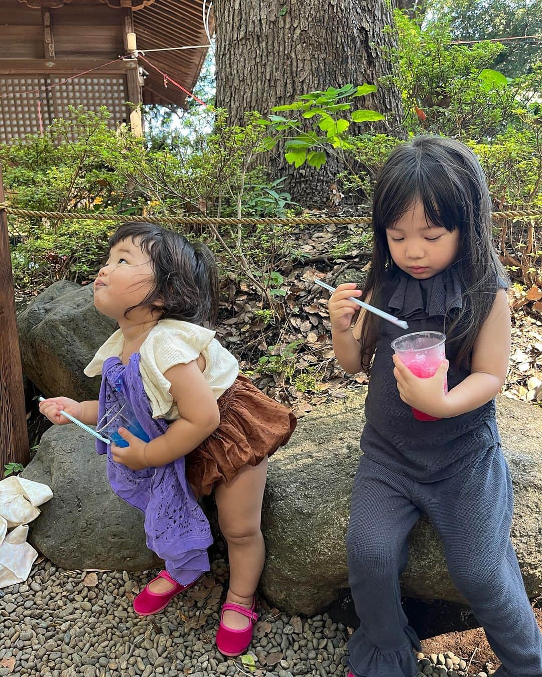 濱中鮎子さんのインスタグラム写真 - (濱中鮎子Instagram)「最近の２人。 夏は沢山病気を乗り越えました。 秋はどうぞ穏やかに頼みます。  お祭りも楽しめる秋でよかった。  さて、わたしは明日から展示会.... 頑張ります  #お嬢たちの成長録」9月18日 17時28分 - ayukohamanaka