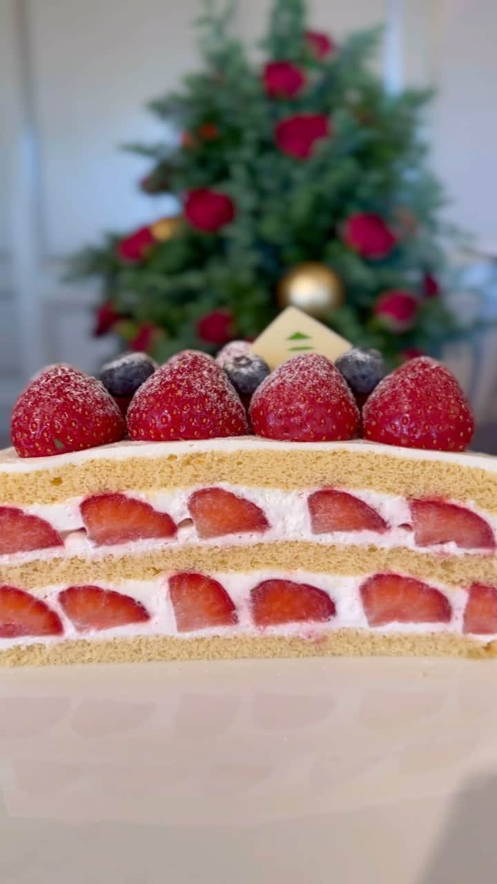 ホテル椿山荘東京のインスタグラム：「. まだまだ暑さ続いておりますが、 今年のクリスマスケーキを発表いたしました🍰  Christmas Cake 2023 ご予約は10/2 Mon.オンライン予約限定！  毎年ご好評のショートケーキをはじめ、モンブランやレアチーズケーキも各種数量限定にて登場いたします。  🎄極上のショートケーキ 「極 ガトー・オー・フレーズ」¥12,960/サイズ15cm 🎄2種のマロンクリームで濃厚に仕上げた 「クリスマスモンブラン」¥12,960/サイズ16cm 🎄レアチーズを楽しめる 「フロマージュリース」¥9,720/サイズ15cm  各ケーキの詳しい情報をご希望の方は、 この投稿に「クリスマスケーキ」とコメントいただくと、 詳細のご案内ページをDMにてお送りいたします📩  @hotelchinzansotokyo_official  #christmascake #christmas  #クリスマスケーキ2023 #クリスマスケーキ  #クリスマスケーキ予約 #クリスマスのお菓子」
