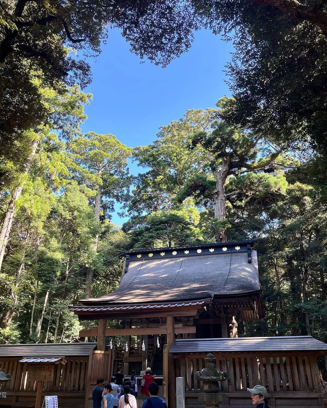 M'sブライダルさんのインスタグラム写真 - (M'sブライダルInstagram)「本日は一粒万倍日✨🌟 茨城県鹿嶋市にある最強のパワースポット、鹿島神宮です🌸  ここでは、武道の神様、武甕槌大神（たけみかづちのおおかみ）が御祭神として崇められています💪🙏  結婚生活にお悩みの方、このパワースポットで心身をリフレッシュしませんか？🤗💑  マリッジカウンセリングを通じて、お二人の関係性の向上やコミュニケーションの改善をサポートしています✨💕  結婚に関するお悩みやご相談がありましたら、お気軽にご連絡ください💌  #鹿島神宮 #パワースポット #武道の神様 #武甕槌大神 #お悩み解消 #マリッジカウンセラー #結婚相談 #心の健康 #夫婦関係の改善 #コミュニケーションの向上 #幸せな家庭 #結婚生活 #夫婦円満 #ラブカップル #心理的に健康な関係 #結婚カウンセリング #幸せな結婚生活 #カップルの悩み解消 #パートナーシップ #夫婦問題解決 #夫婦コミュニケーション #人間関係のコツ #絆を深める #愛と幸せ #感謝の気持ち #お互いを尊重する #心のバランス」9月18日 17時59分 - msbridal_pr