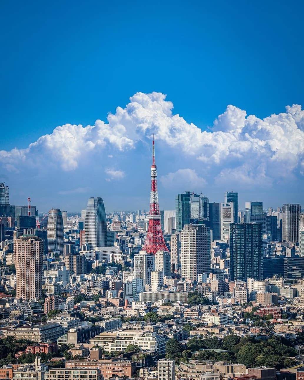 東京タワーさんのインスタグラム写真 - (東京タワーInstagram)「. 見事な入道雲を突き刺すような 東京タワーの塔頂部🗼   今一度、今年の夏を回顧する 壮観な1枚をご紹介！   たった１ケ月前ですが、 なんとなく季節の移り変わりの 速さを感じてしまいます。   本日は、Your Tokyo Tower🗼から @sakaki0325 さんのお写真をご紹介！   素敵なお写真をありがとうございました😊  --------------------------------  【 お知らせ 】  メインデッキ2階にあるタワー大神宮は、 伊勢神宮より御神霊をお招きし、 天照皇大神をお祀りする由緒ある神社であり、 年間を通して多くの方が参拝されます。  特に「縁結び」や「学業成就」に 御利益があると言われています。  詳細はプロフィールのリンクにある Official HPから↓↓↓ @tokyotower_official  --------------------------------  #東京タワー #東京タワー🗼  #tokyotower #tokyotower🗼  #雲 #入道雲 #cloud」9月18日 18時06分 - tokyotower_official