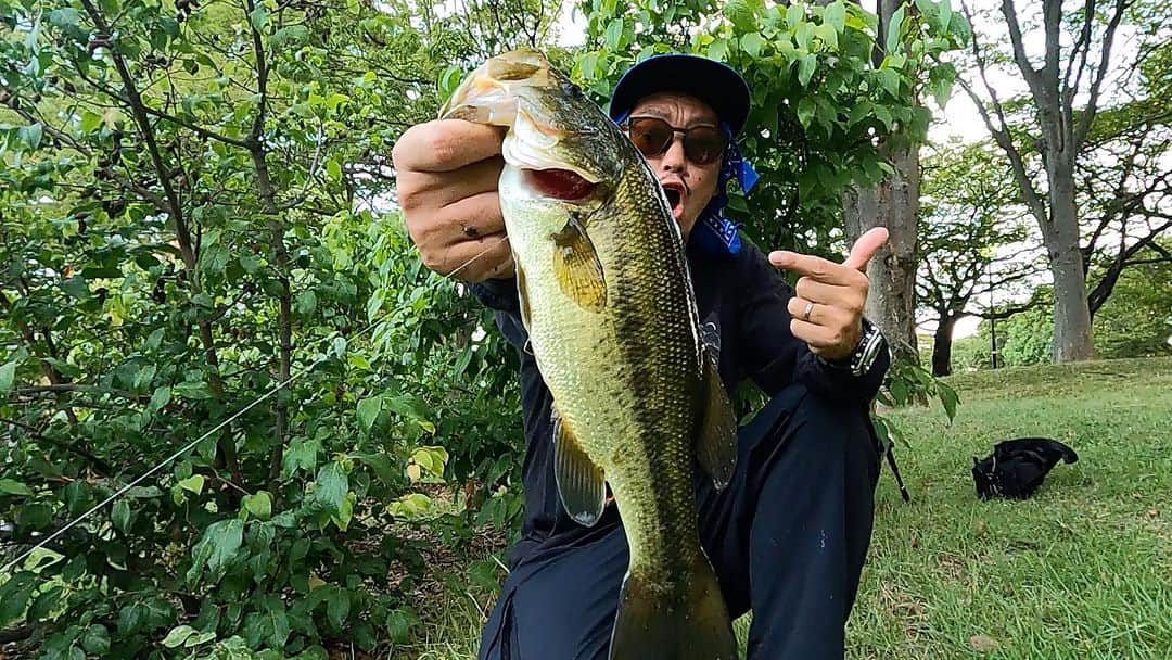 伊藤千秋のインスタグラム：「引き出しシリーズ☝️ 実はちょこちょこ釣ってます🎣 回数は少ないど確実にバス釣ってます😎✨✨✨✨ #bassfishing  #inlineskate  #newyorkmets  こちらのリグは福島さんのギズモで一投目の落ちパク🙏 @claps_entertainment  @newerajapan  @shun_dillinger」