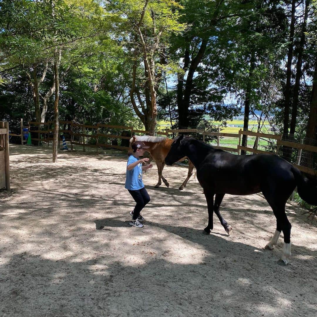 坂東亀三郎さんのインスタグラム写真 - (坂東亀三郎Instagram)「⁡ 滋賀で乗馬🏇 ⁡ 公私共にお世話になっている（株)クリエイティブテクノロジー様が運営されている紹介制の牧場、Horse platz logotherapy「ct_platz」にお邪魔してきました。 ⁡ ⁡ 世界的に注目されているホースセラピーは、乗馬や馬の手入れ、観察などを通して、障がい者の精神機能と運動機能を向上させ、社会復帰を早めるリハビリテーションの方法の一つで、簡単に言うと馬を使って治療したり癒したりするアニマルセラピーの一つ。 ⁡ 今回お邪魔したこの牧場では引退した競走馬(間近で見ると大きい！)や競技馬やポニーとゆっくり触れ合う事が出来ました。 ⁡ ⁡ 触れ合う事に慣れている馬達はとても賢く、亀三郎は全く怖がる事なく馬に触れ合い、乗馬以外にも小屋の掃除、餌やり、たてがみの洗髪や身体のブラッシングと多くの経験をさせて頂けました。 ⁡ また体験乗馬と違い、治療や癒しを目的としているので10分何円とかの観光乗馬とは違い、気の済むまで(僕は3頭の馬を約1時間かけて乗り換えました。)乗馬させて頂きましたが、30年以上前に乗馬部にいた昔取った杵柄…、厩務員さんが近くにいらっしゃるとは言え、引き馬乗馬ではなく自由に乗らせて頂きましたが…、褒めては頂きましたが、馬が素晴らしいだけで乗り手は動画を見た限りお世辞にも…(以下略💦💦💦 ⁡ ⁡ とても素晴らしい経験と楽しく深い時間を過ごす事が出来ました！ ⁡ もう少し練習を重ね、川沿いの道や道路を歩きたい！となりました。 また遊びに行きます。 ⁡ ありがとうございました。 ⁡ @ct_platz @horseplatz_logotherapy  #乗馬 #ホースセラピー #t_platz  #プラッツ　 #_platz  #歌舞伎 #音羽屋 #歌舞伎役者 #亀三郎 #坂東亀三郎 #六代目 #彦三郎 #坂東彦三郎 #九代目」9月18日 9時54分 - otowayabando