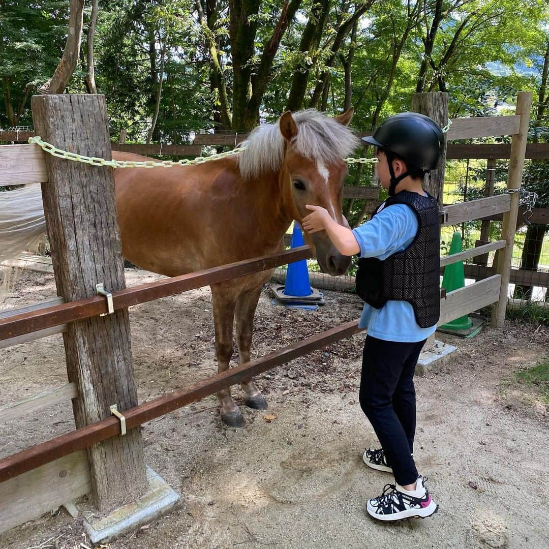 坂東亀三郎のインスタグラム：「⁡ 滋賀で乗馬🏇 ⁡ 公私共にお世話になっている（株)クリエイティブテクノロジー様が運営されている紹介制の牧場、Horse platz logotherapy「ct_platz」にお邪魔してきました。 ⁡ ⁡ 世界的に注目されているホースセラピーは、乗馬や馬の手入れ、観察などを通して、障がい者の精神機能と運動機能を向上させ、社会復帰を早めるリハビリテーションの方法の一つで、簡単に言うと馬を使って治療したり癒したりするアニマルセラピーの一つ。 ⁡ 今回お邪魔したこの牧場では引退した競走馬(間近で見ると大きい！)や競技馬やポニーとゆっくり触れ合う事が出来ました。 ⁡ ⁡ 触れ合う事に慣れている馬達はとても賢く、亀三郎は全く怖がる事なく馬に触れ合い、乗馬以外にも小屋の掃除、餌やり、たてがみの洗髪や身体のブラッシングと多くの経験をさせて頂けました。 ⁡ また体験乗馬と違い、治療や癒しを目的としているので10分何円とかの観光乗馬とは違い、気の済むまで(僕は3頭の馬を約1時間かけて乗り換えました。)乗馬させて頂きましたが、30年以上前に乗馬部にいた昔取った杵柄…、厩務員さんが近くにいらっしゃるとは言え、引き馬乗馬ではなく自由に乗らせて頂きましたが…、褒めては頂きましたが、馬が素晴らしいだけで乗り手は動画を見た限りお世辞にも…(以下略💦💦💦 ⁡ ⁡ とても素晴らしい経験と楽しく深い時間を過ごす事が出来ました！ ⁡ もう少し練習を重ね、川沿いの道や道路を歩きたい！となりました。 また遊びに行きます。 ⁡ ありがとうございました。 ⁡ @ct_platz @horseplatz_logotherapy  #乗馬 #ホースセラピー #t_platz  #プラッツ　 #_platz  #歌舞伎 #音羽屋 #歌舞伎役者 #亀三郎 #坂東亀三郎 #六代目 #彦三郎 #坂東彦三郎 #九代目」